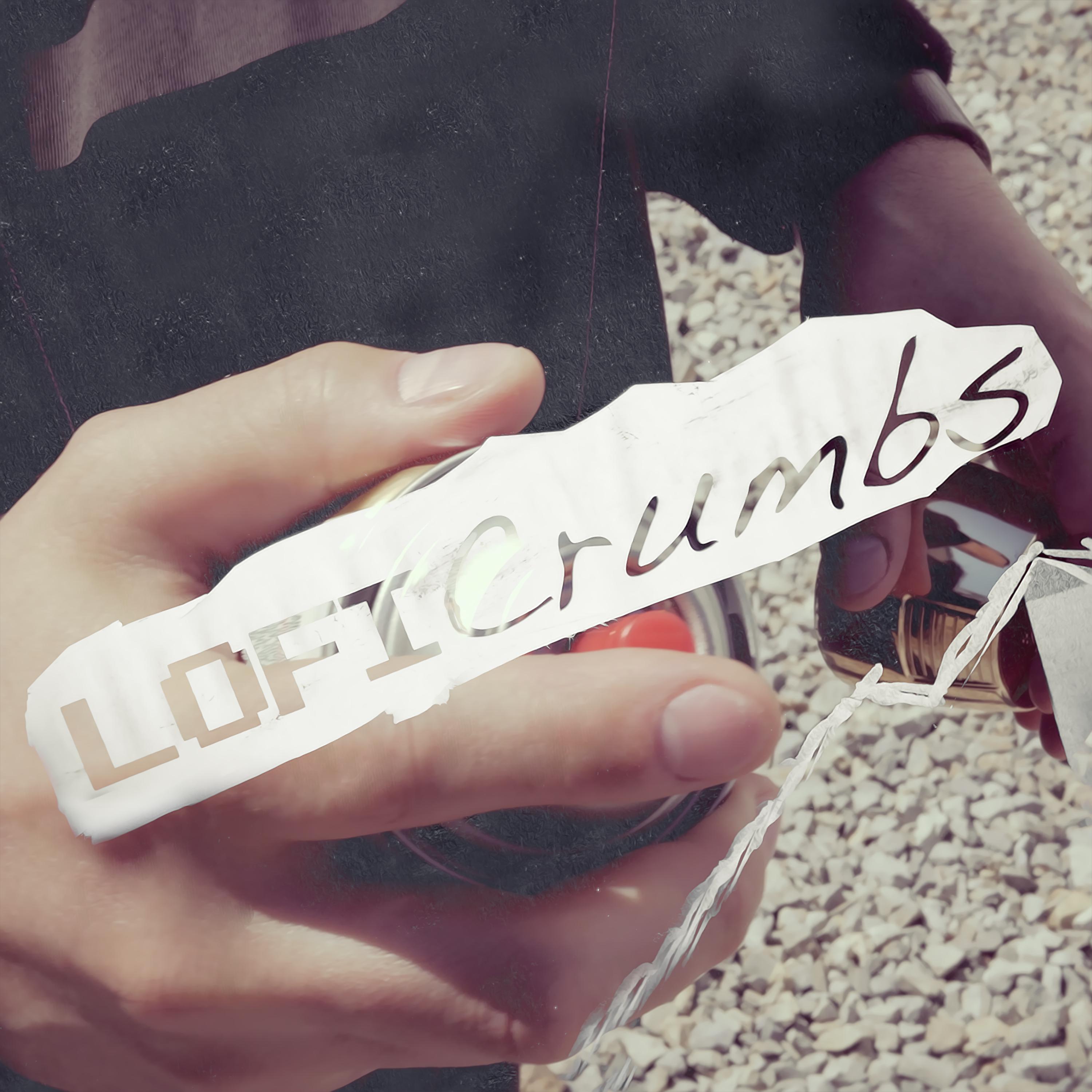 Постер альбома Lofi Crumbs