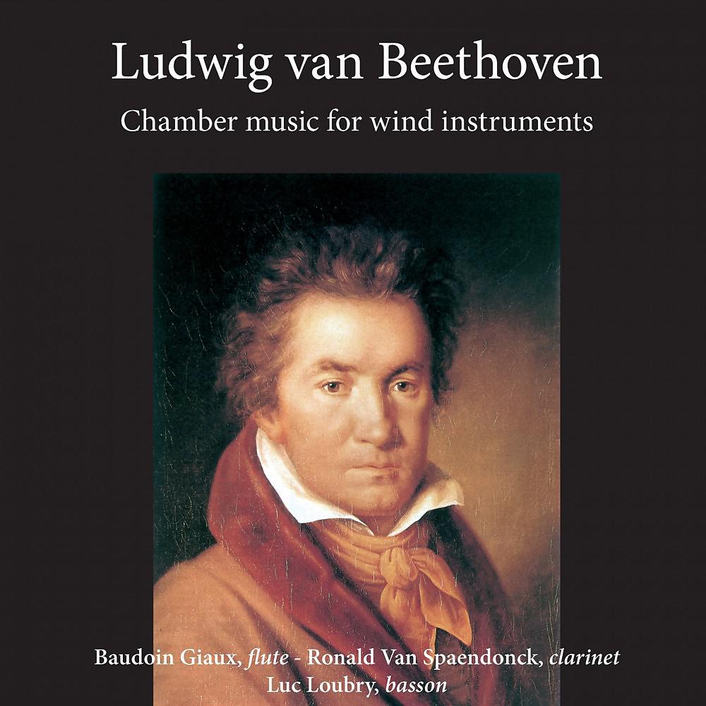 Постер альбома Ludwig van Beethoven - Chamber Music for Wind Instruments
