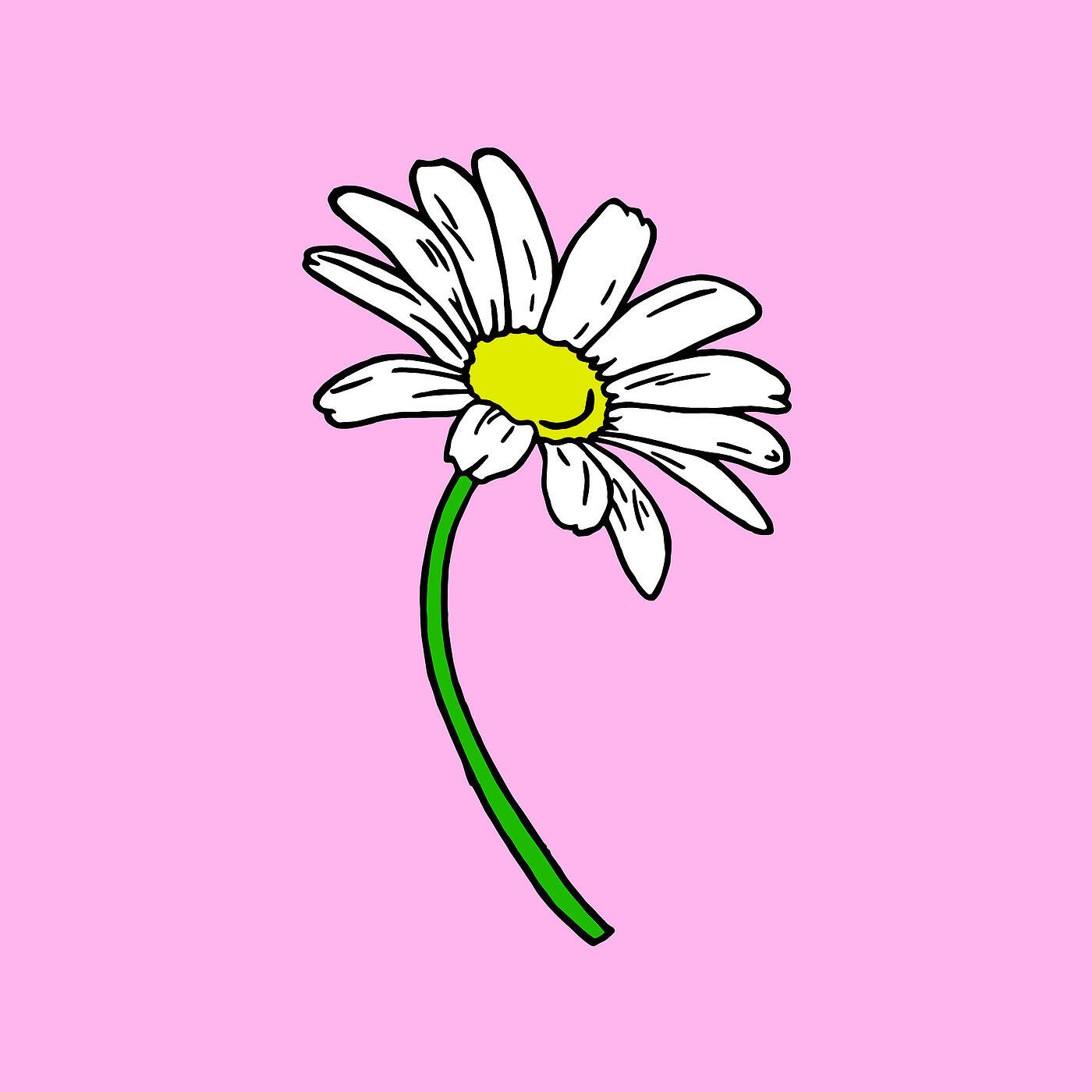 Engelwood - Daisy