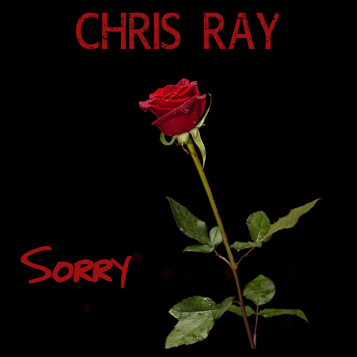 Chris Ray - Sorry