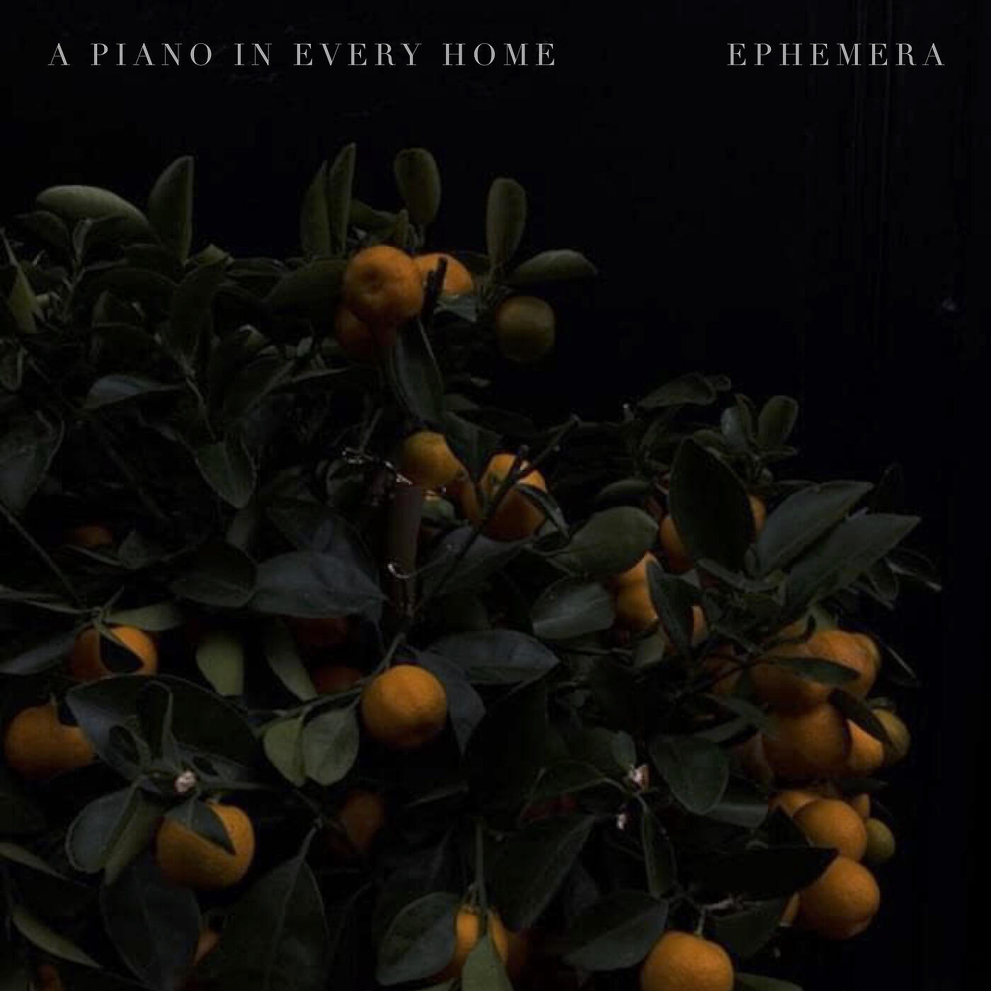 A Piano In Every Home - Wired for You, Always