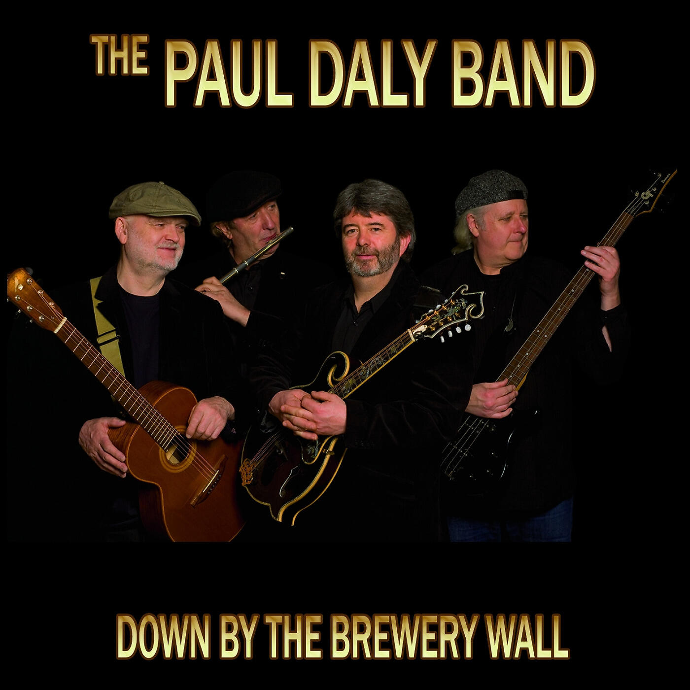 Paul Daly Band - The Celtic Tiger and the Sean Van Vocht