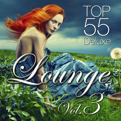 Постер альбома Lounge Top 55, Vol.3