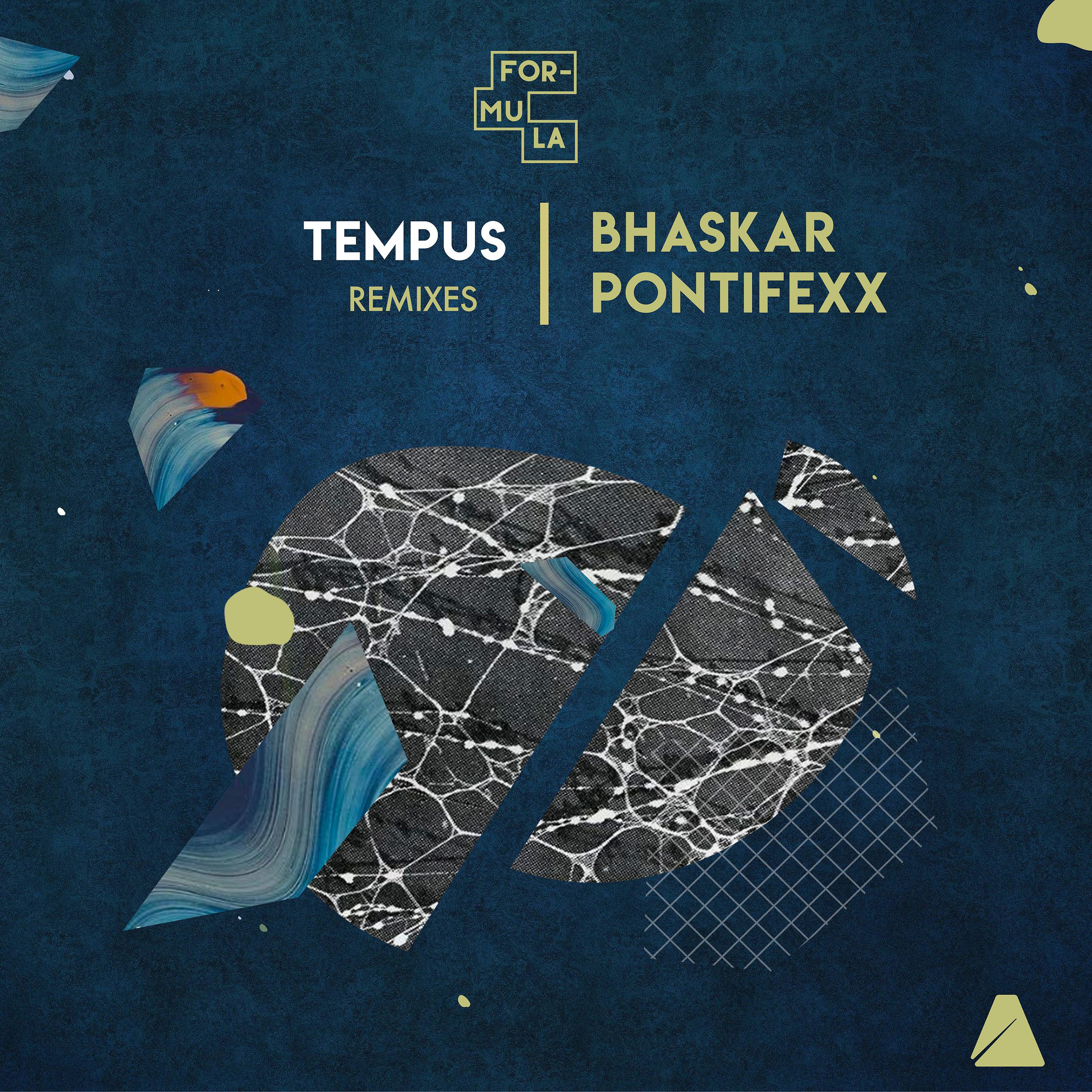 Постер альбома Tempus (Remixes)