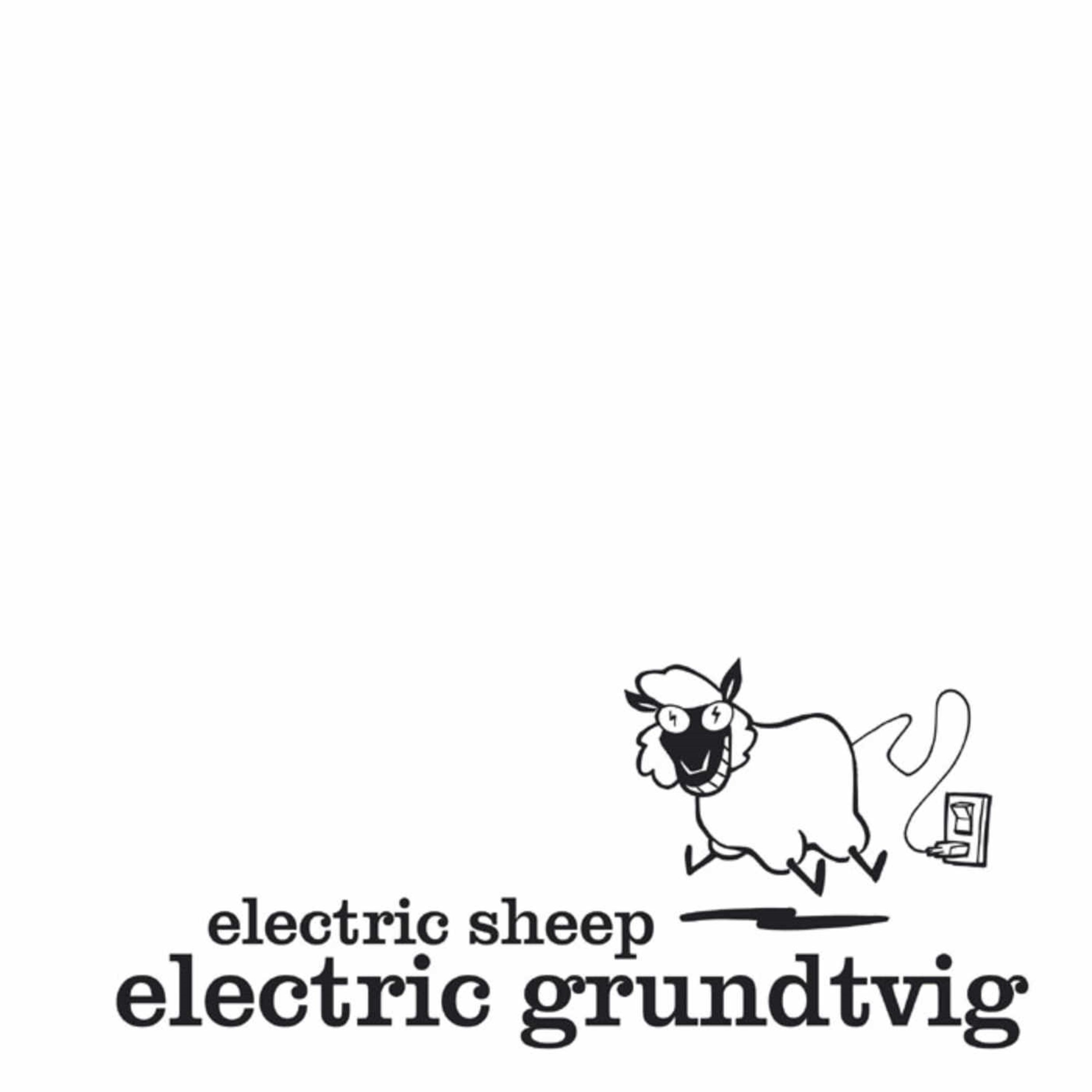 Постер альбома Electric Grundtvig