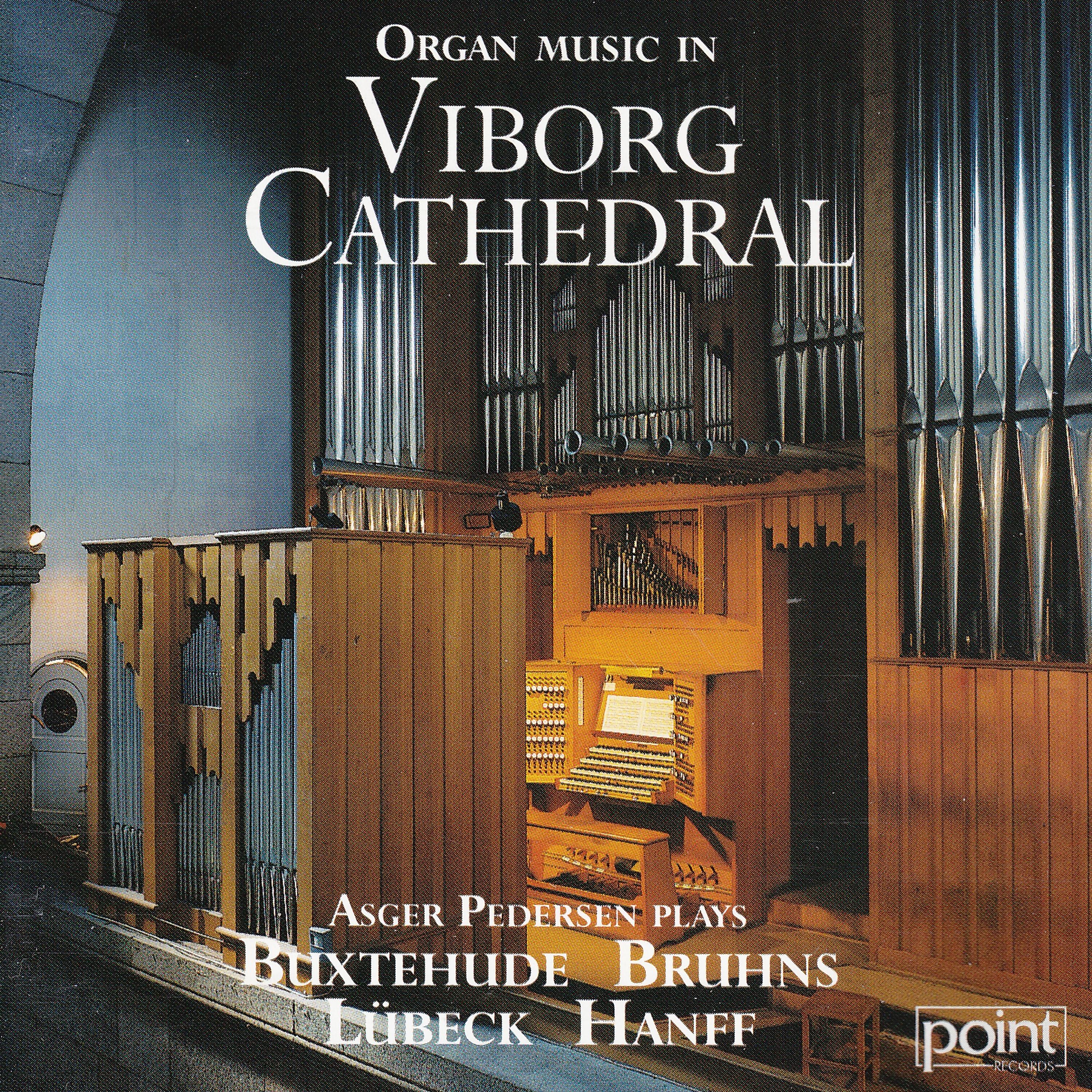 Постер альбома Organ Music in Viborg Cathedral