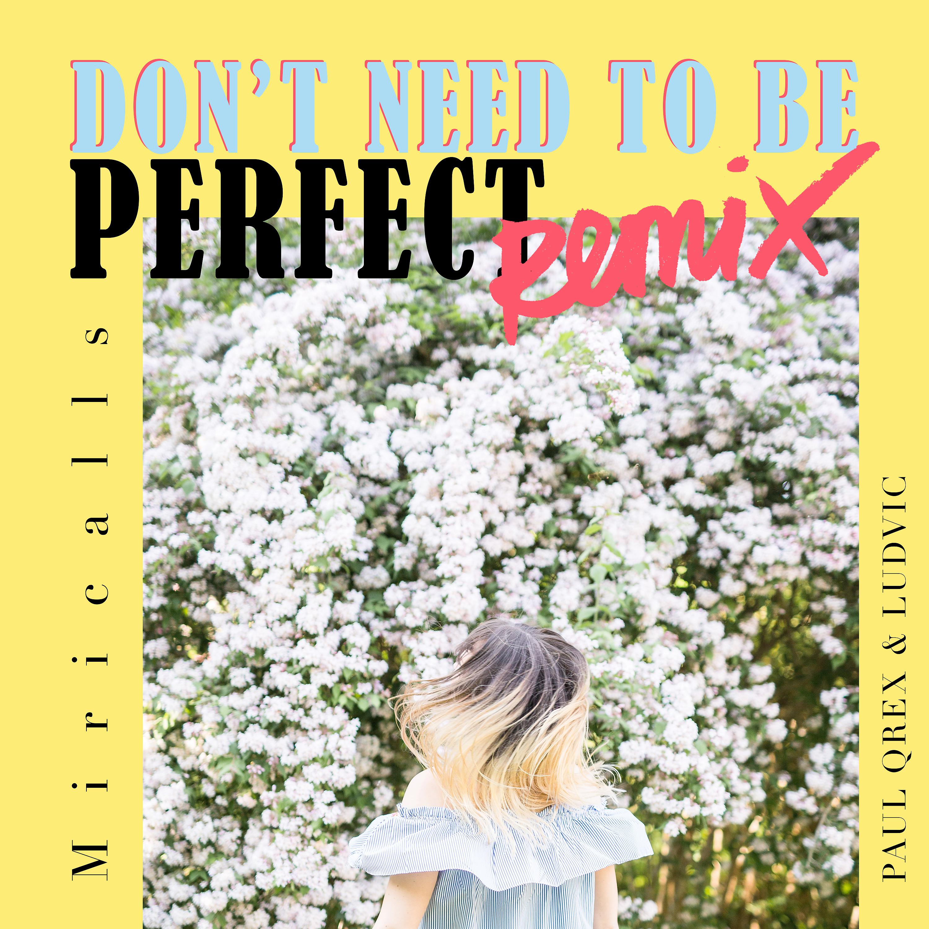Постер альбома Don't Need to Be Perfect (Remix)