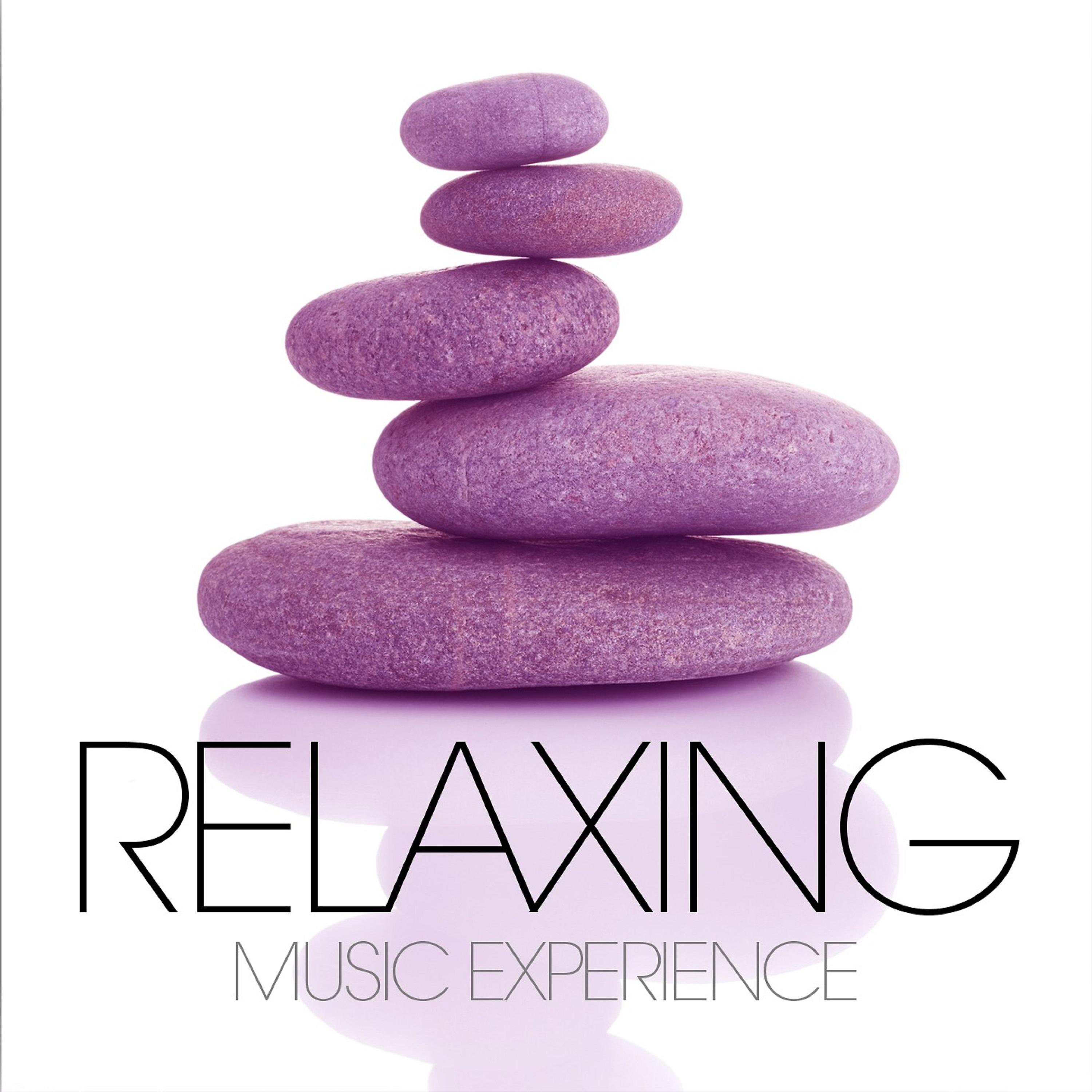 Постер альбома Relaxing Music Experience