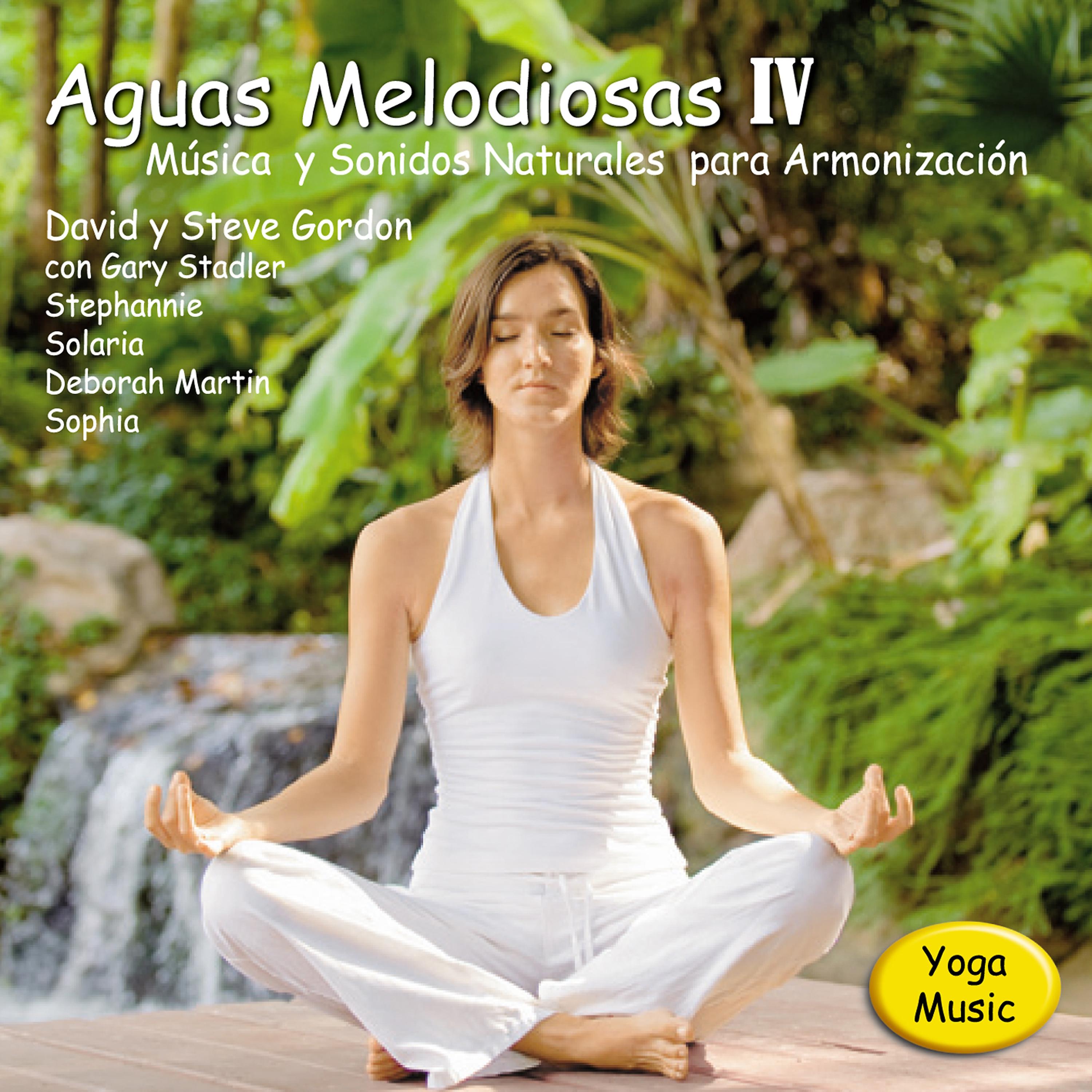 Постер альбома Aguas Melodiosas IV