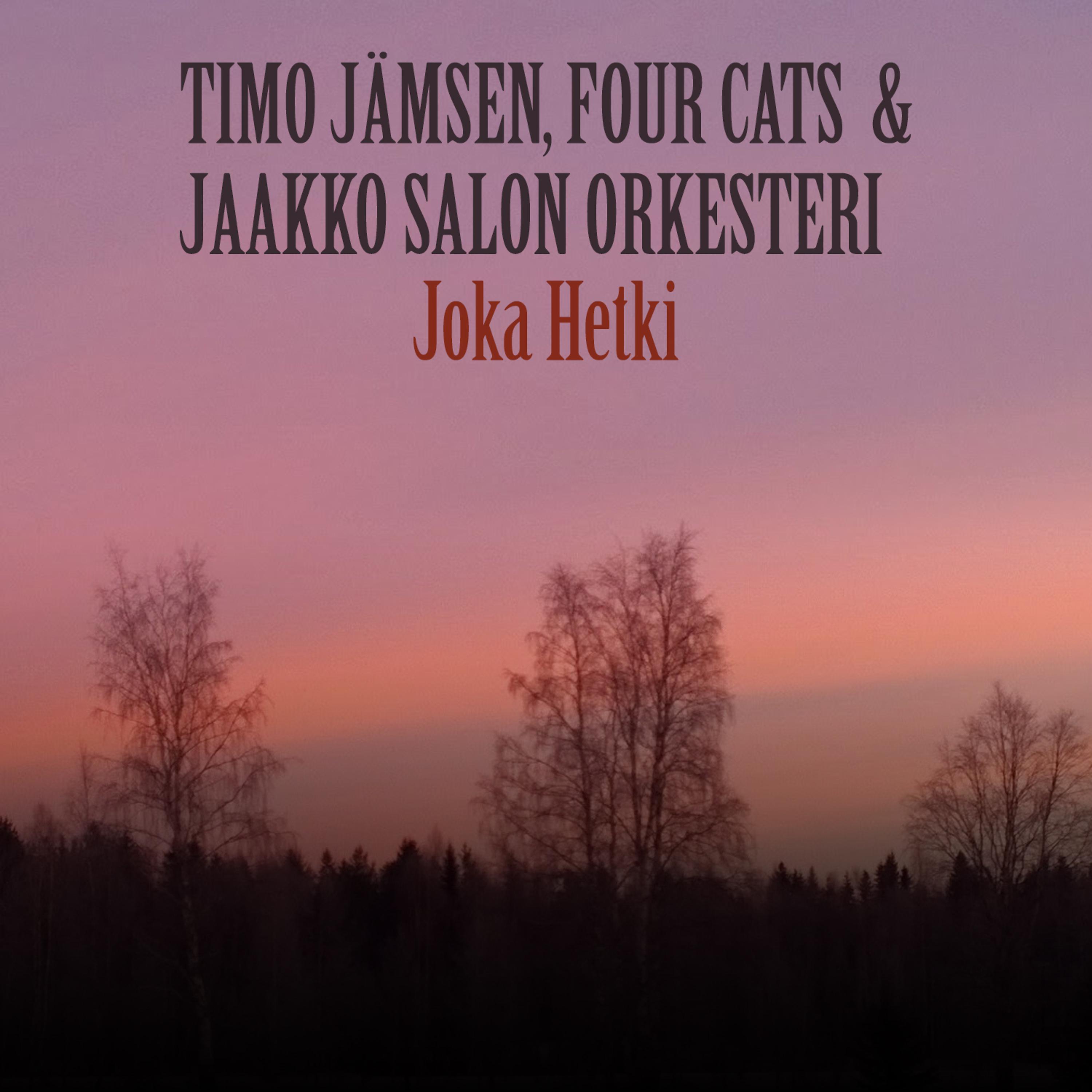 Постер альбома Joka Hetki