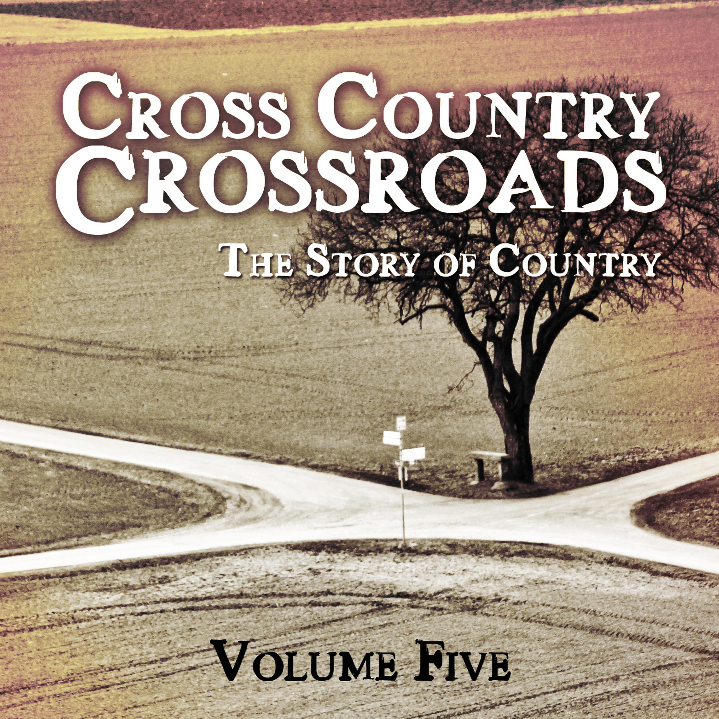 Постер альбома Cross Country Crossroads - The Story of Country, Vol. 5