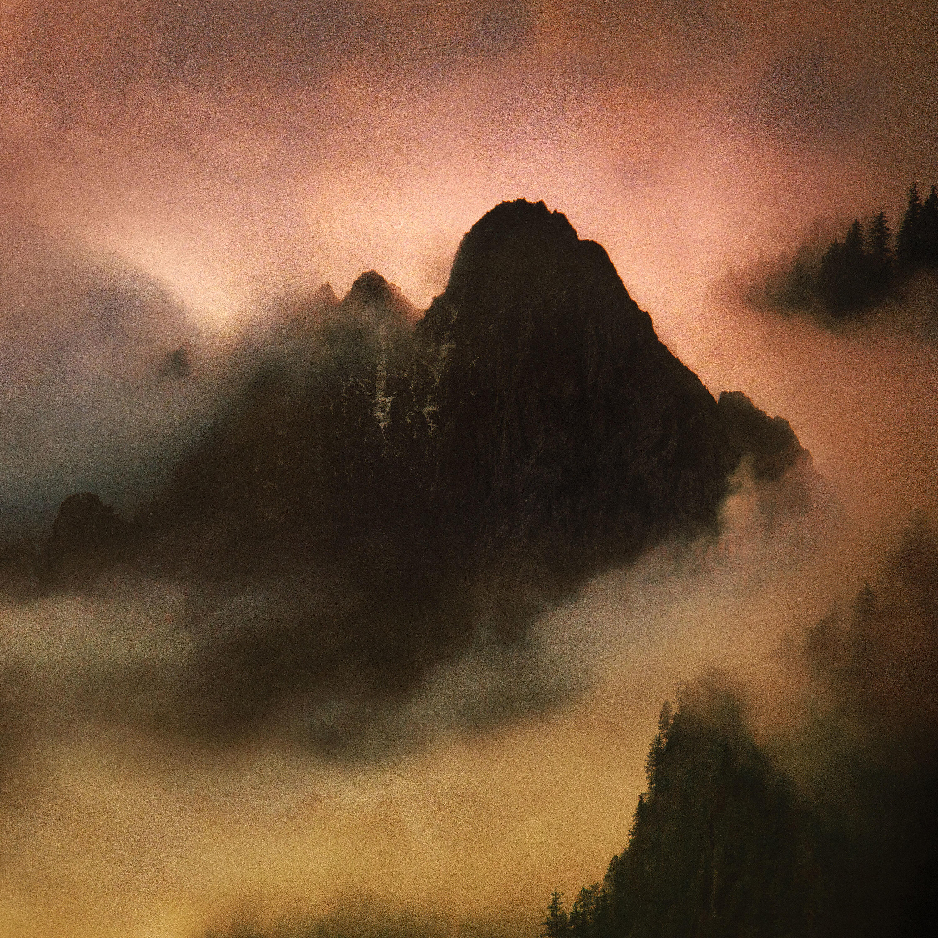 Dead To A Dying World - Of Moss and Stone