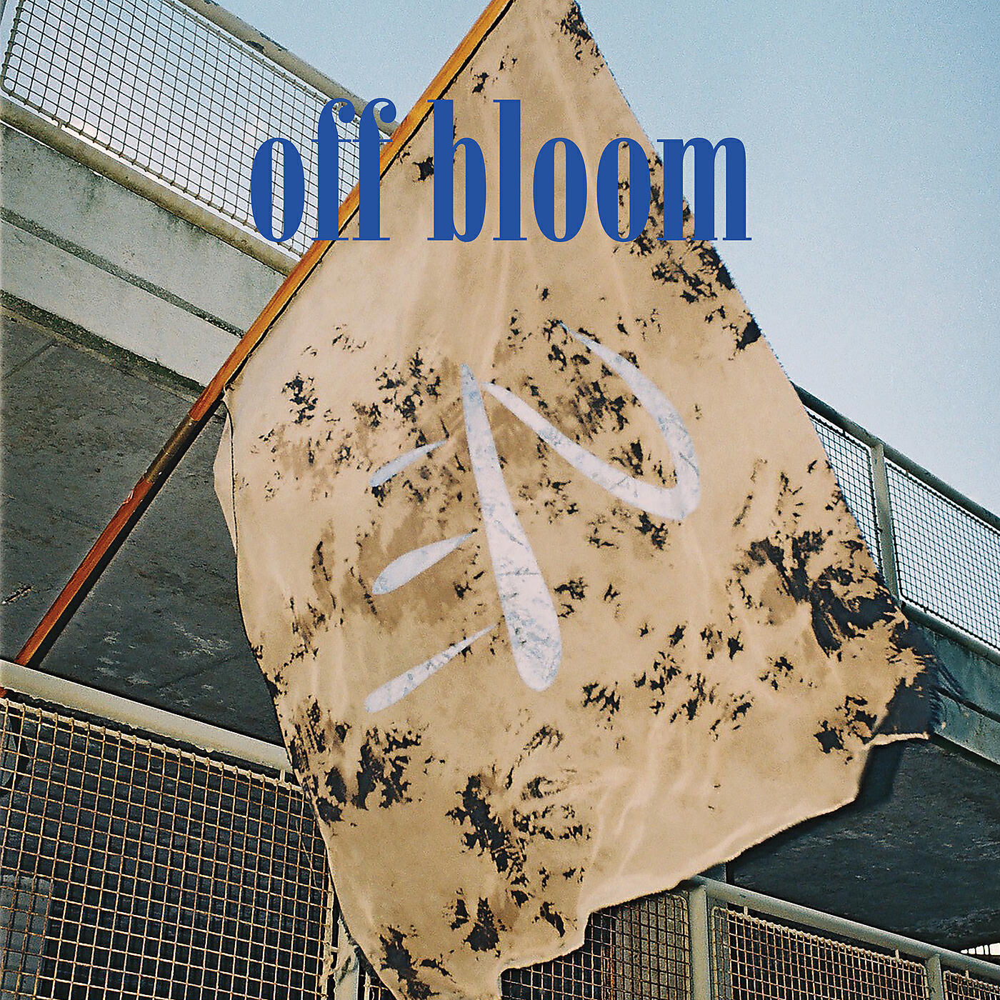 Off Bloom - Orchid