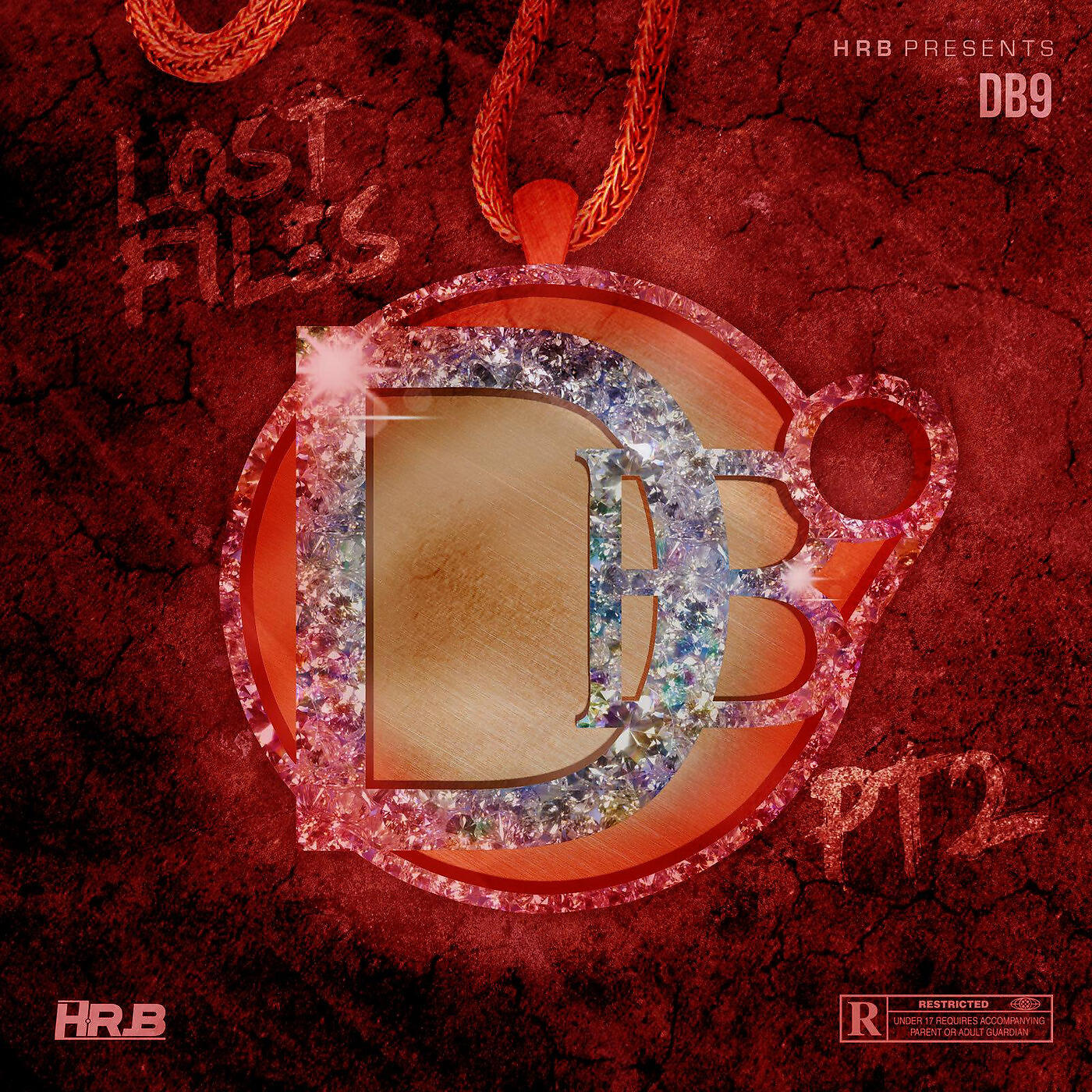 DB9 - Diamond in the Dirt