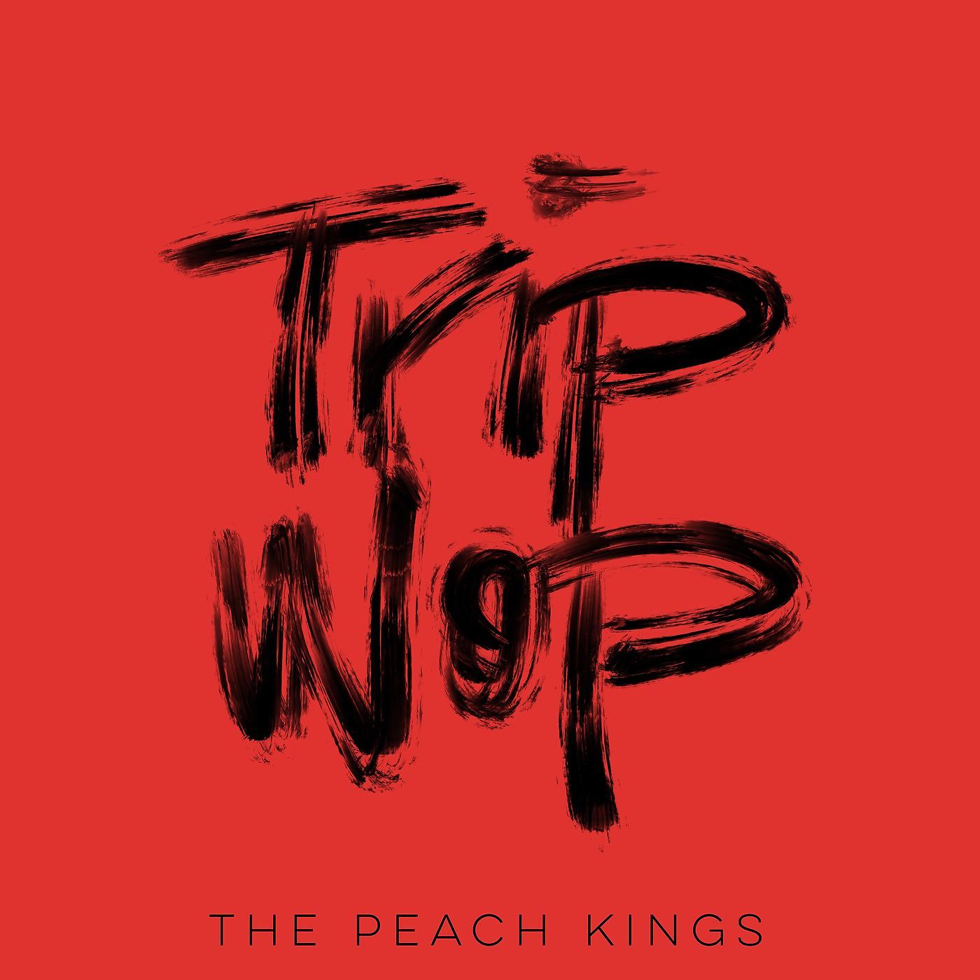 Постер альбома Trip Wop