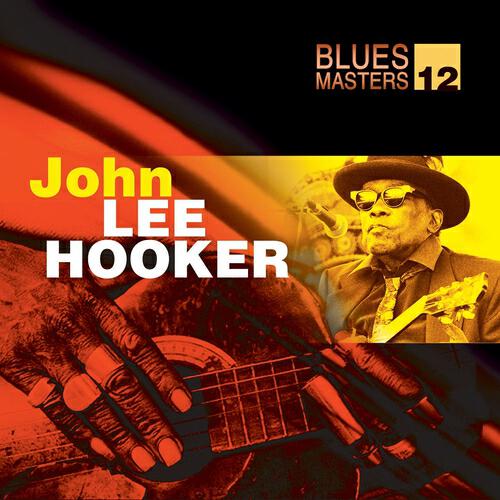 Постер альбома Blues Masters Vol. 12