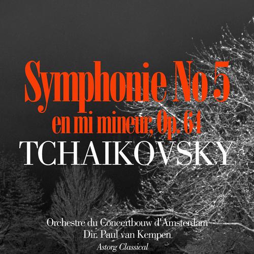 Постер альбома Tchaïkovsky: Symphonie No. 5 en mi mineur, Op. 64