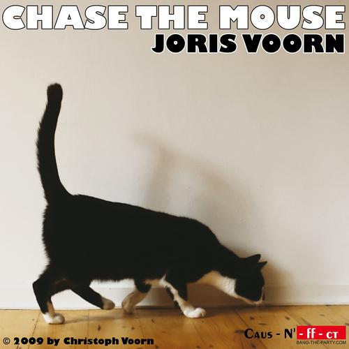 Постер альбома Chase the Mouse
