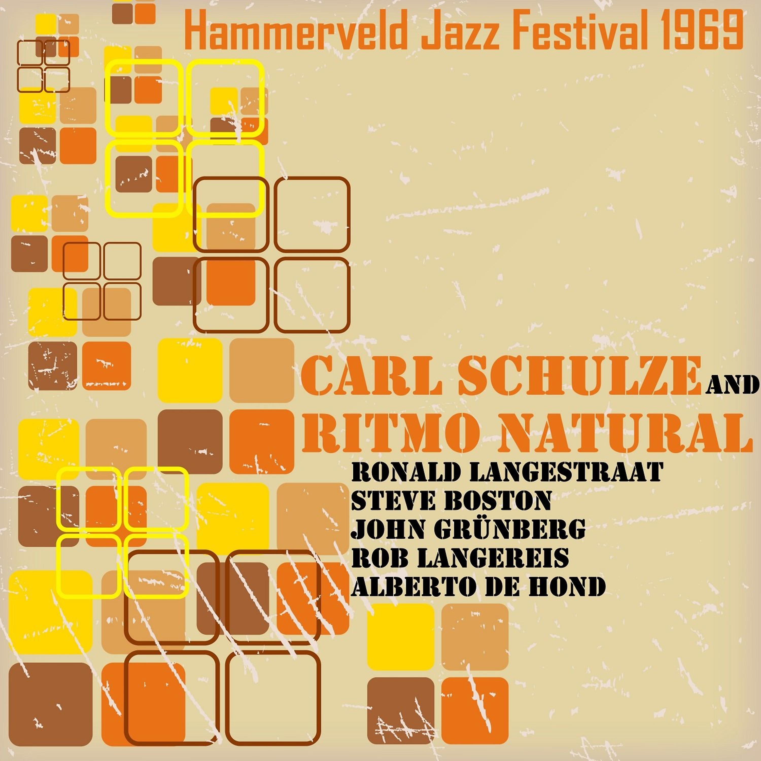 Постер альбома Hammerveld Jazz, 1969 (Live)