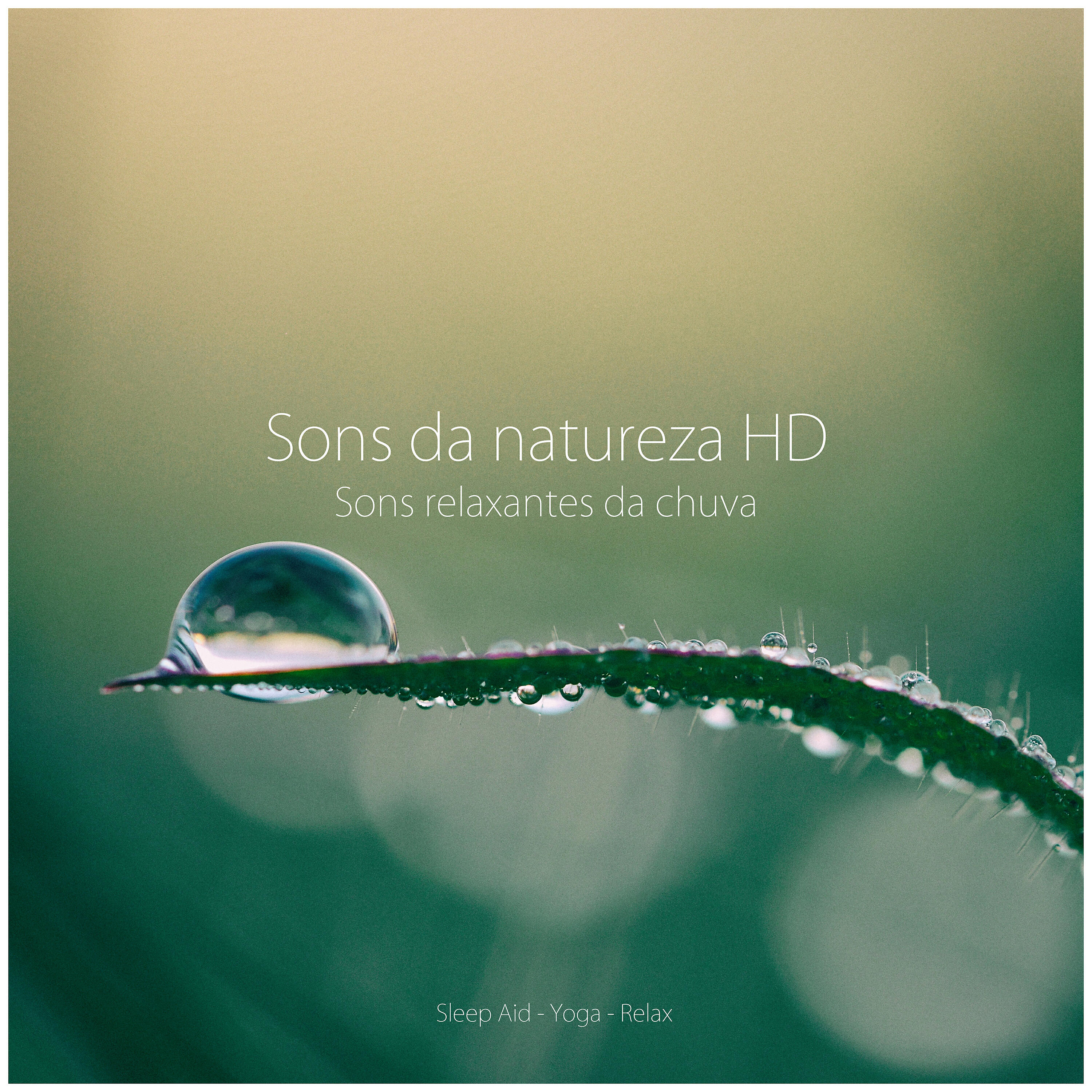Sons da natureza HD - Sons De Chuva: São Paulo Chuva