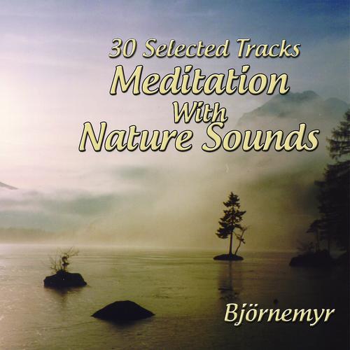 Постер альбома 30 Selected Tracks: Meditation With Nature Sounds