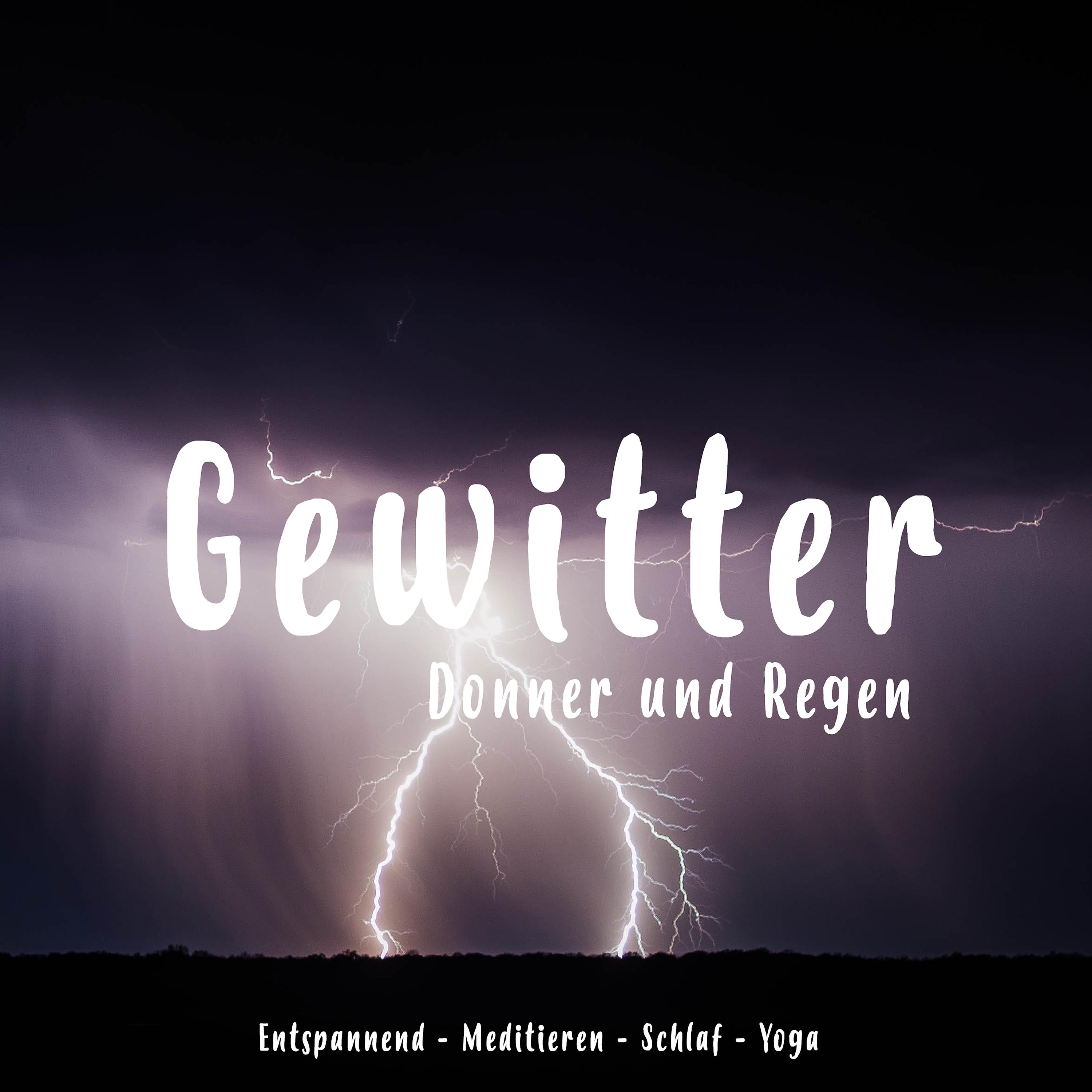 Постер альбома Gewitter, Donner Und Regen