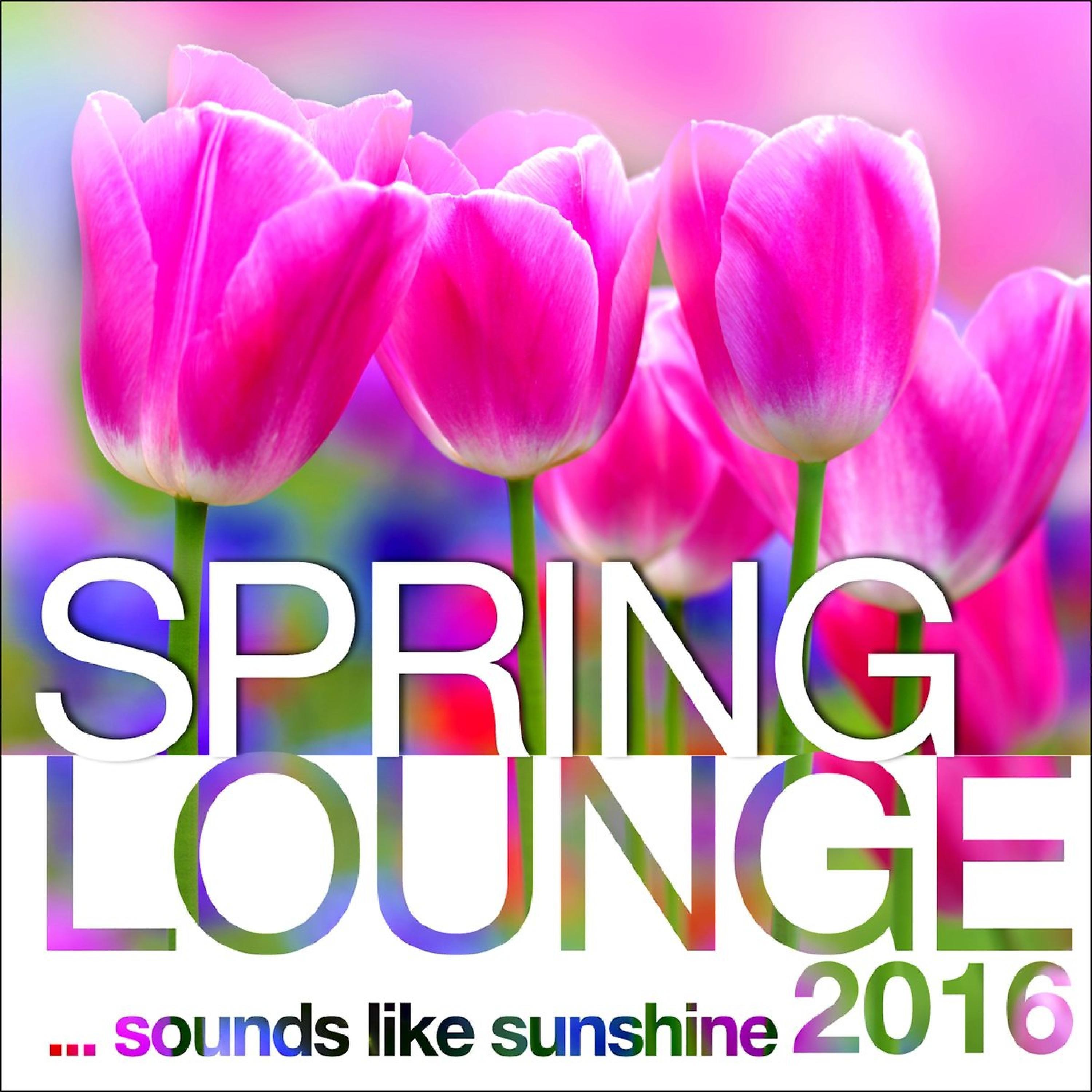 Постер альбома Spring Lounge 2016 - Sounds Like Sunshine