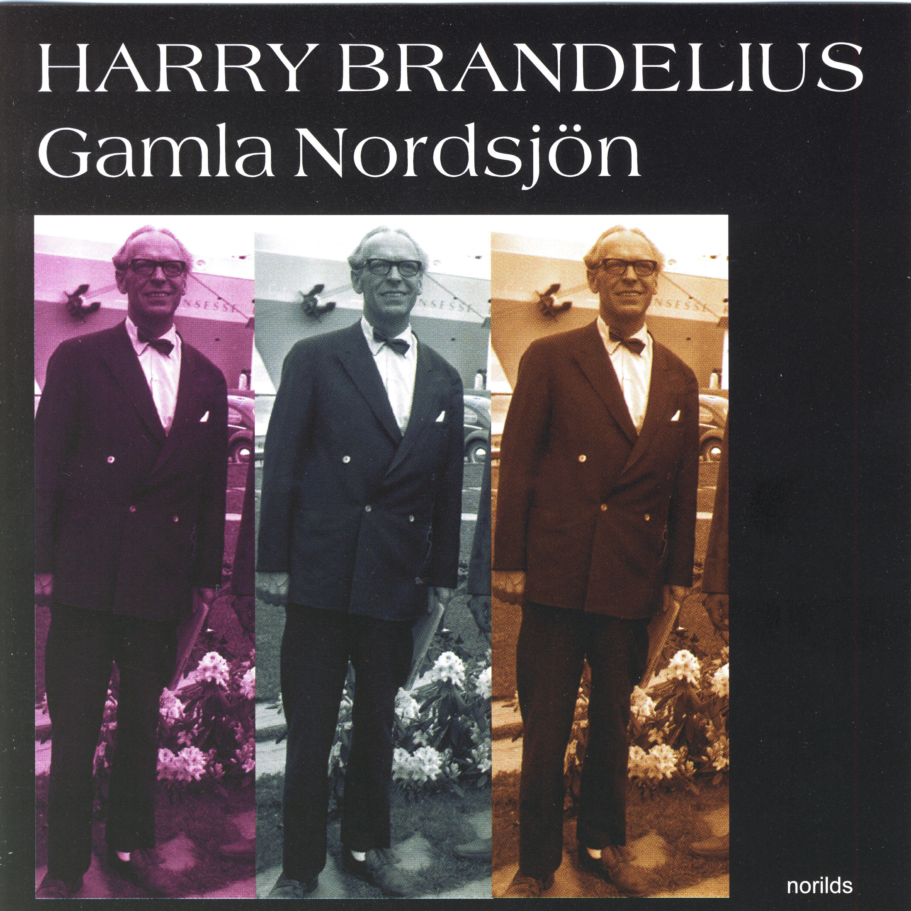 Harry Brandelius - Det finns ingen som ljuger så bedårande som du