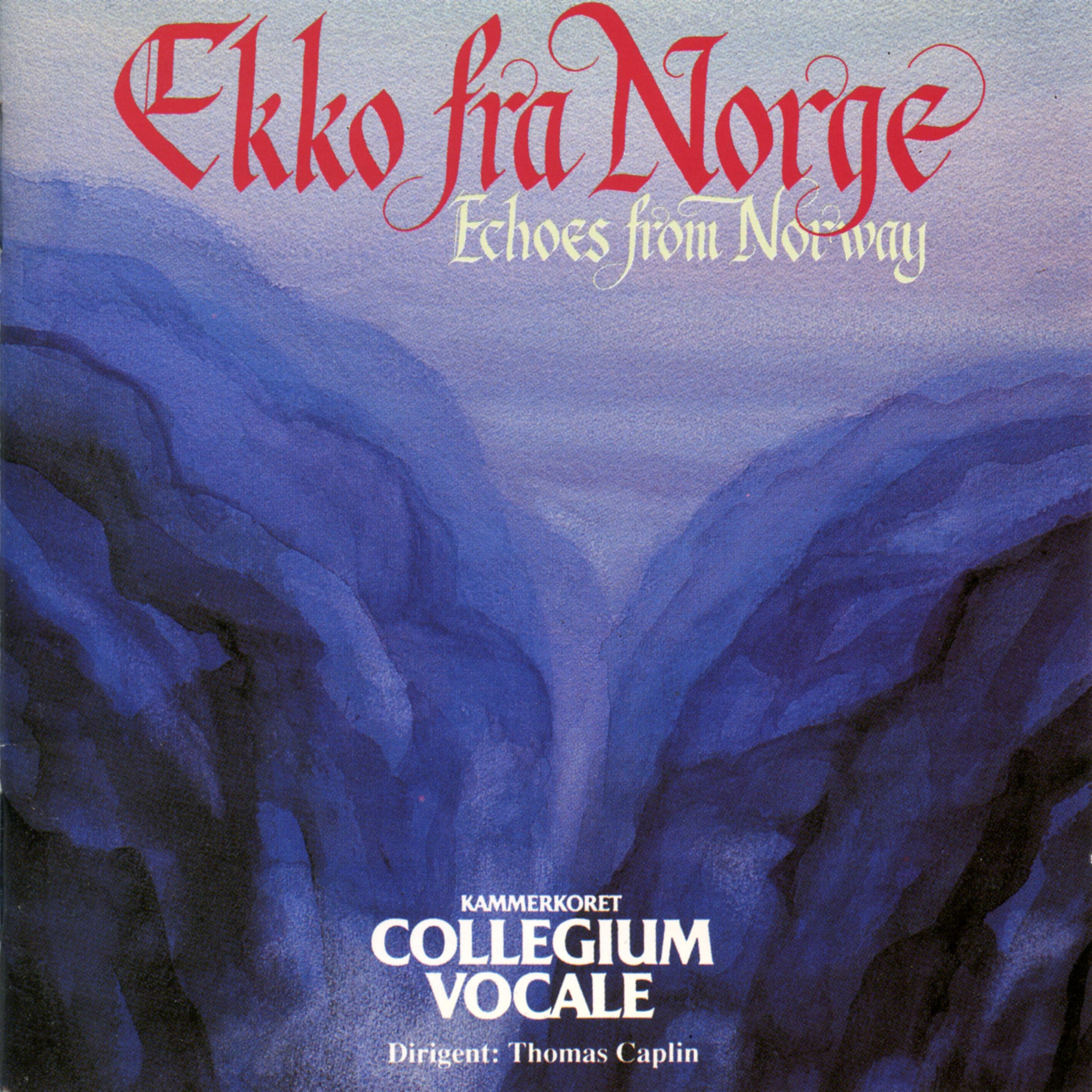Постер альбома Ekko Fra Norge