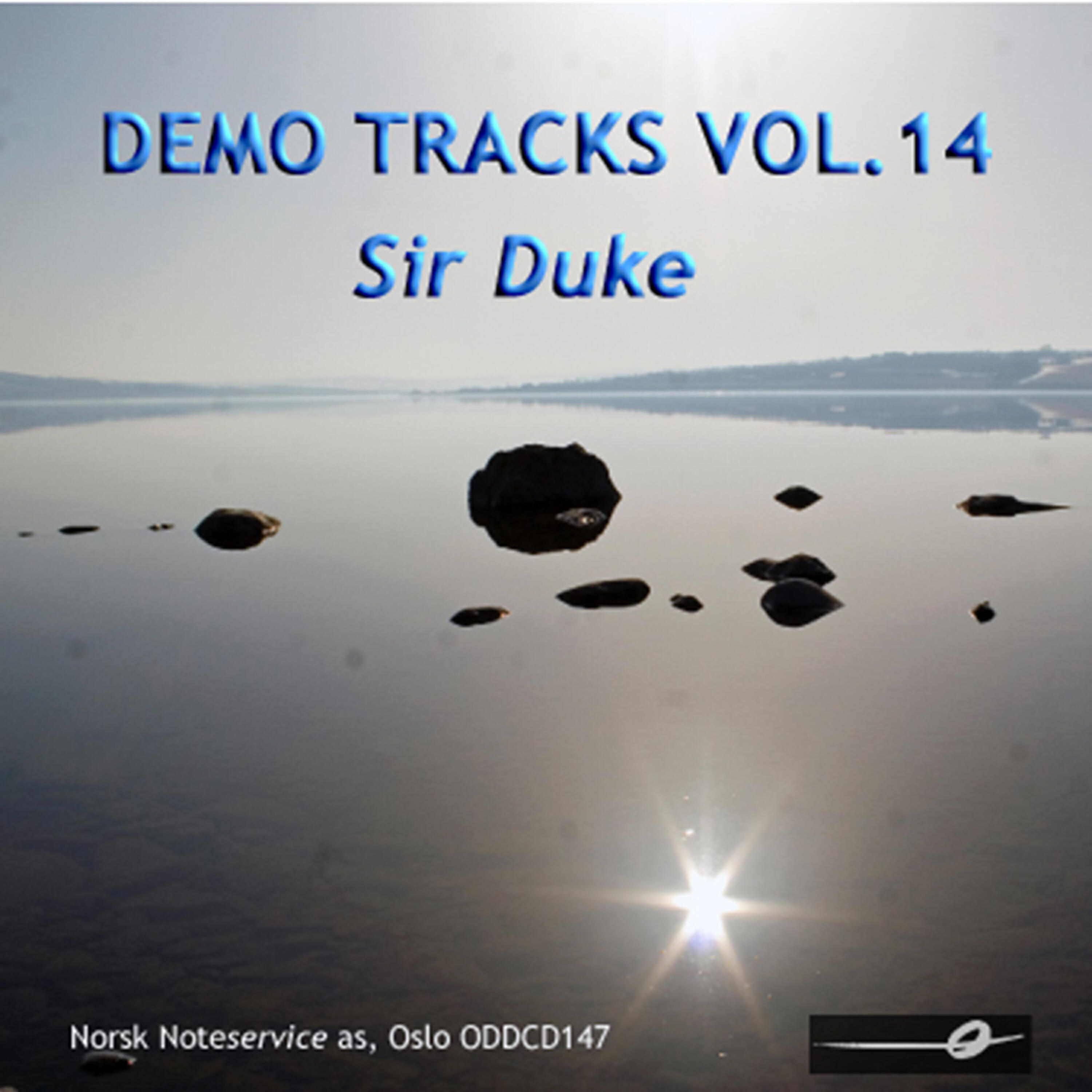 Norsk Noteservice Wind Orchestra - Bridge Over Troubled Water (Cb3 Solo)