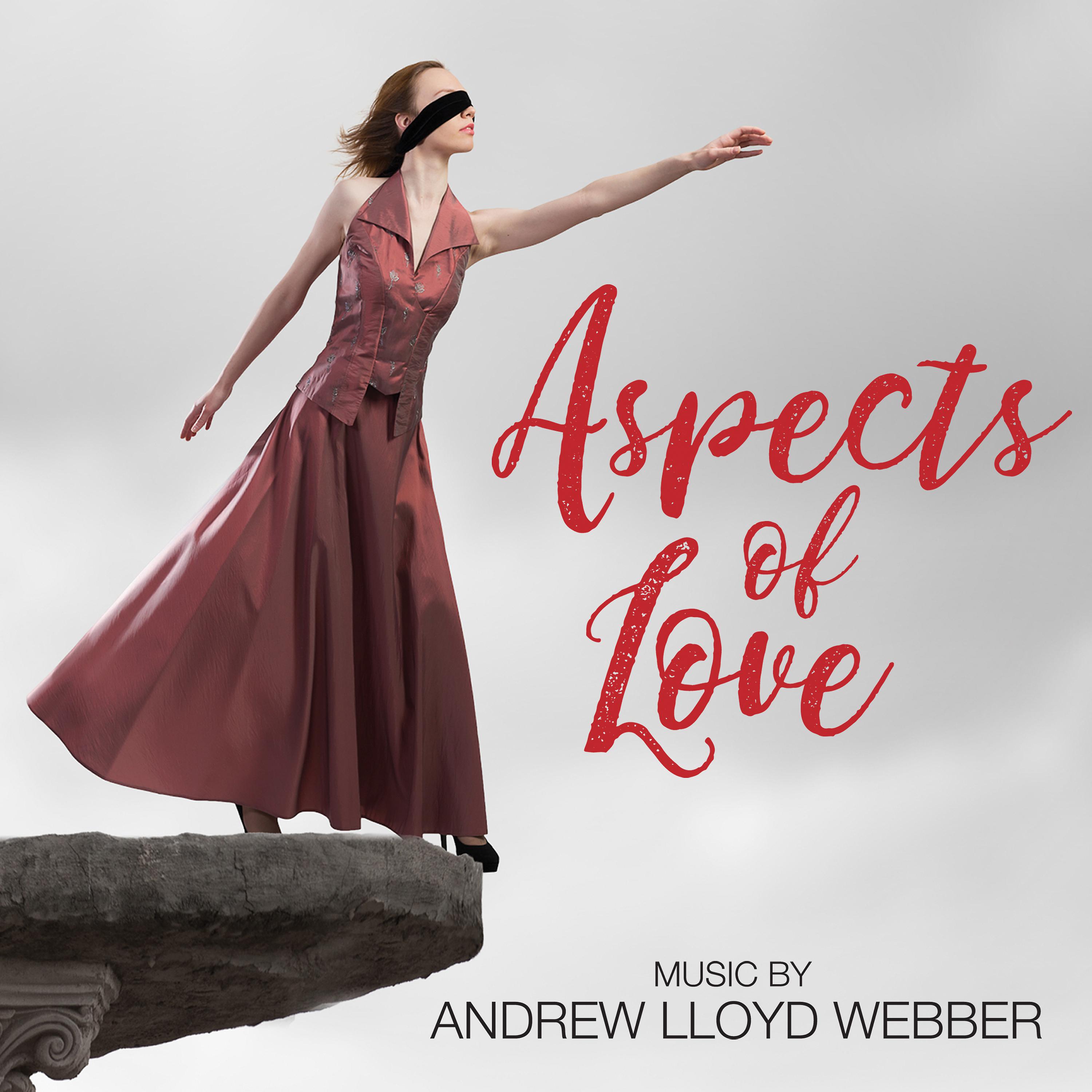 Постер альбома Aspects of Love