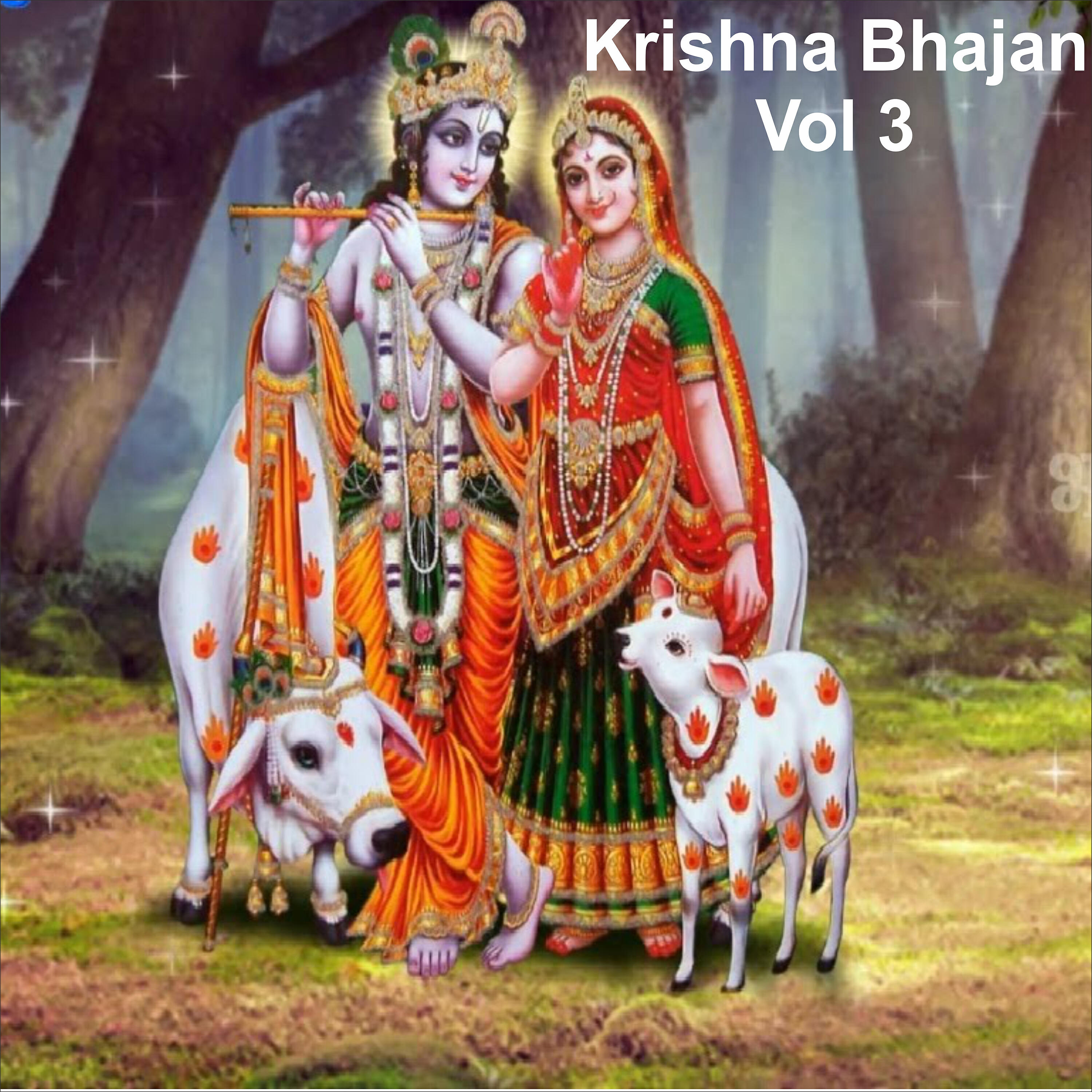 Jai Shankar Ji - Mitho Chor De