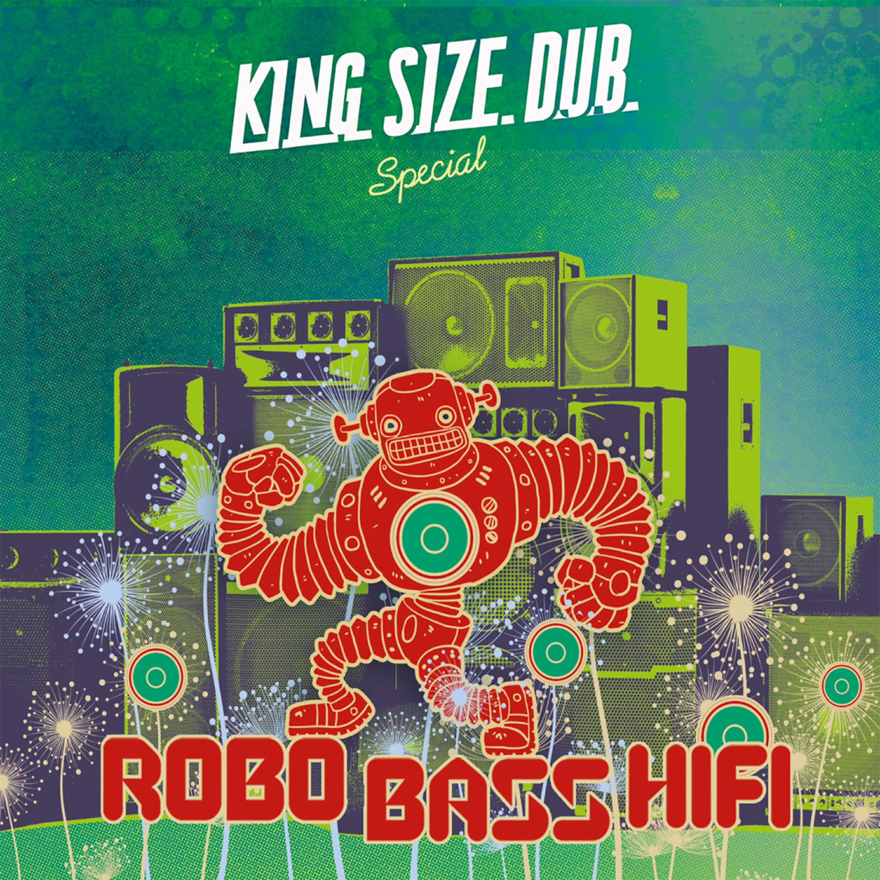 Robo Bass Hifi - Nu Danger Dub