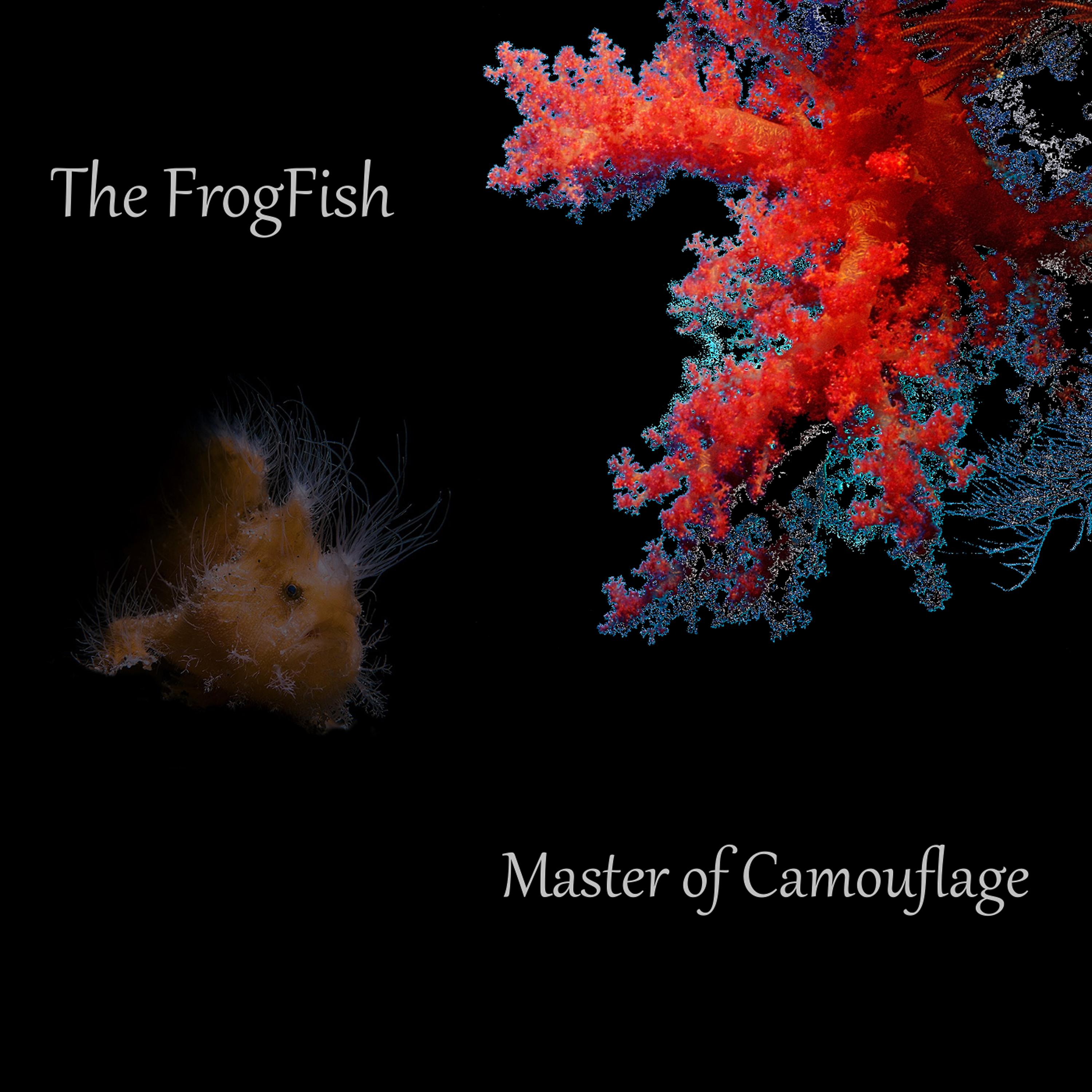 Постер альбома Master of Camouflage
