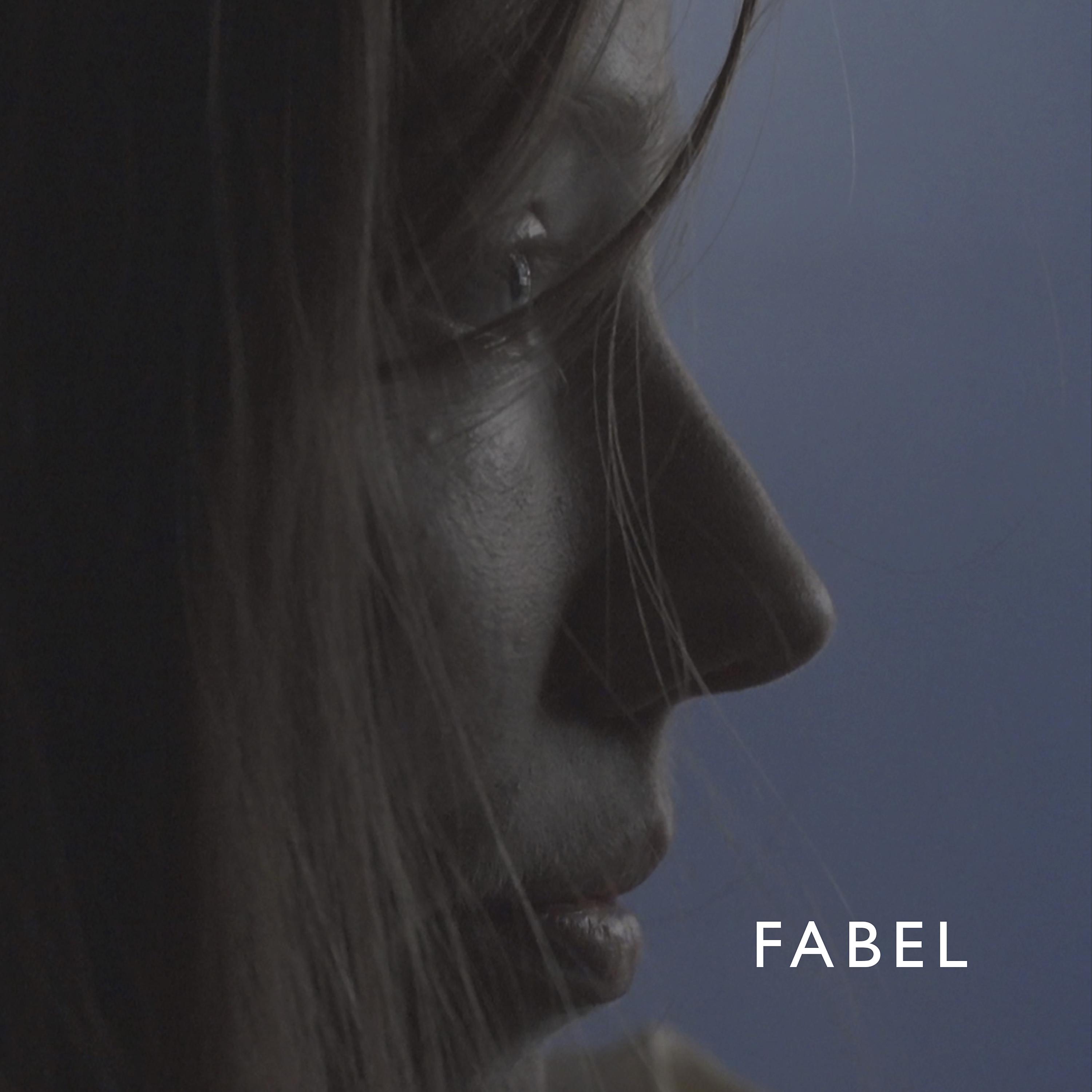 Постер альбома Fabel
