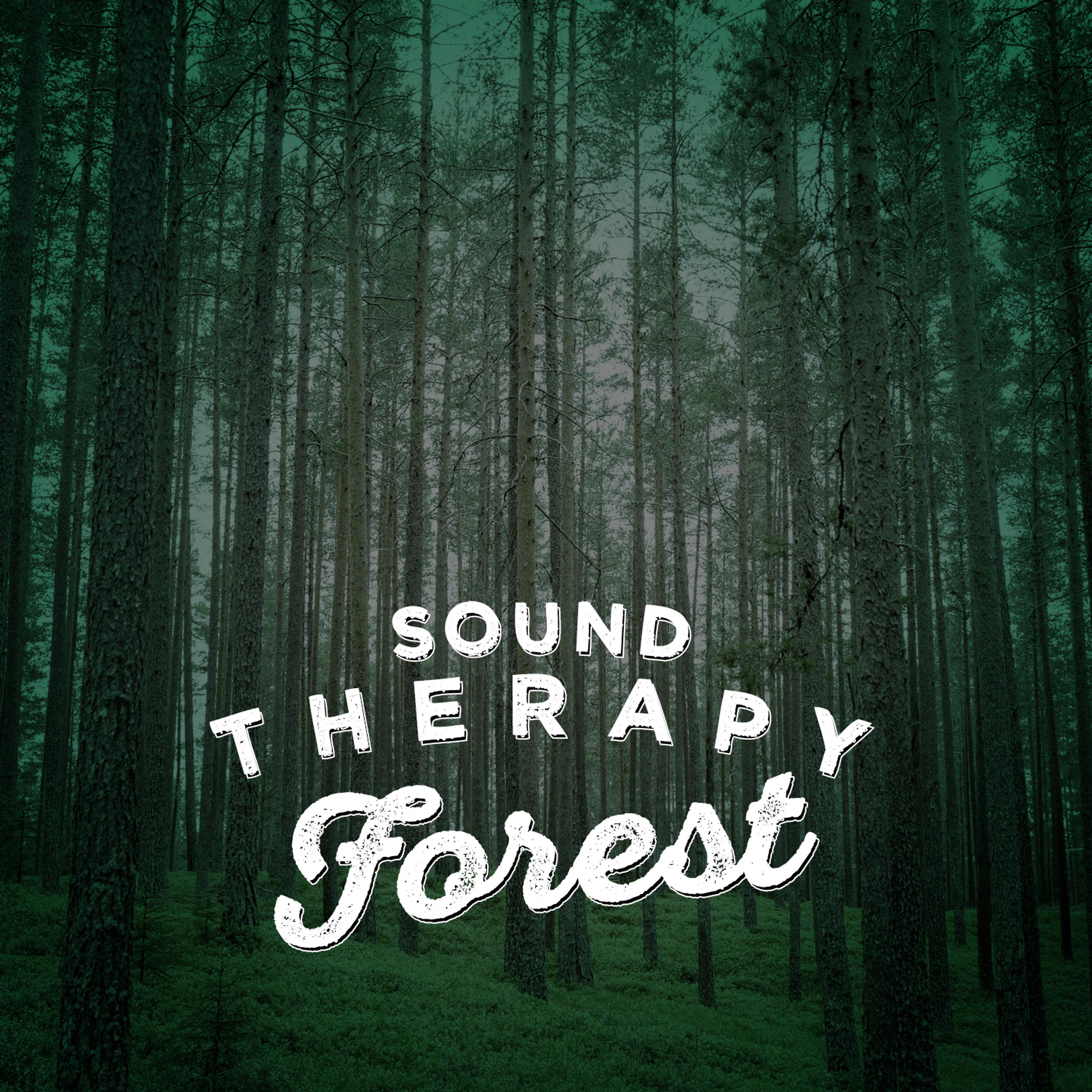 Постер альбома Sound Therapy: Forest
