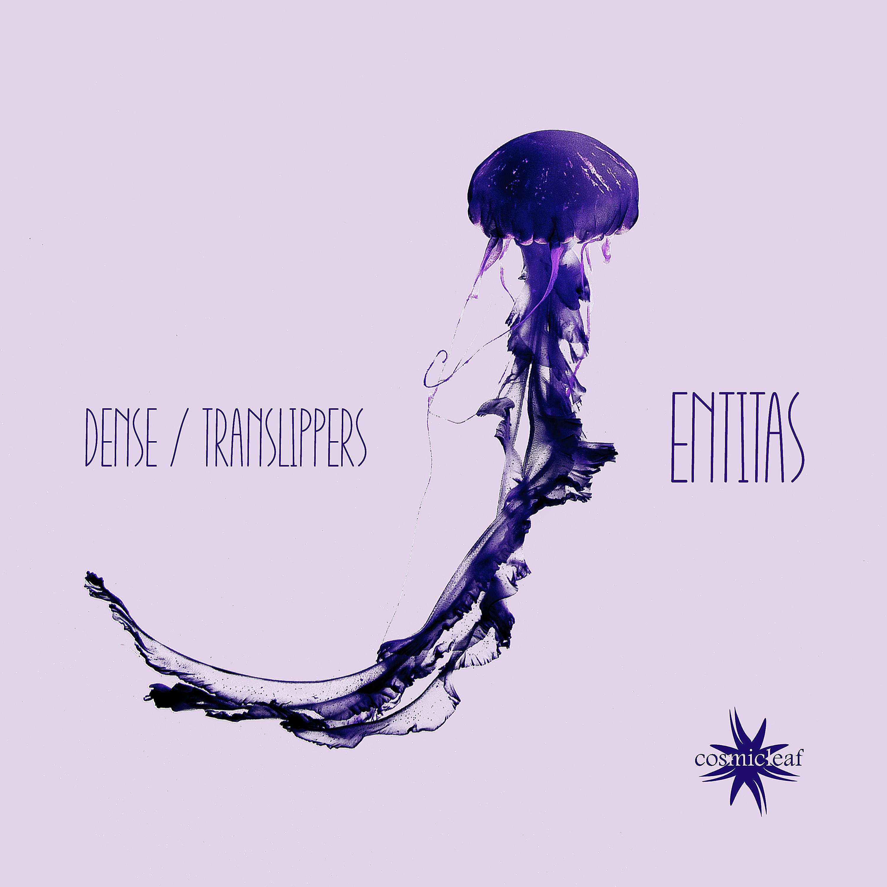 Постер альбома Entitas