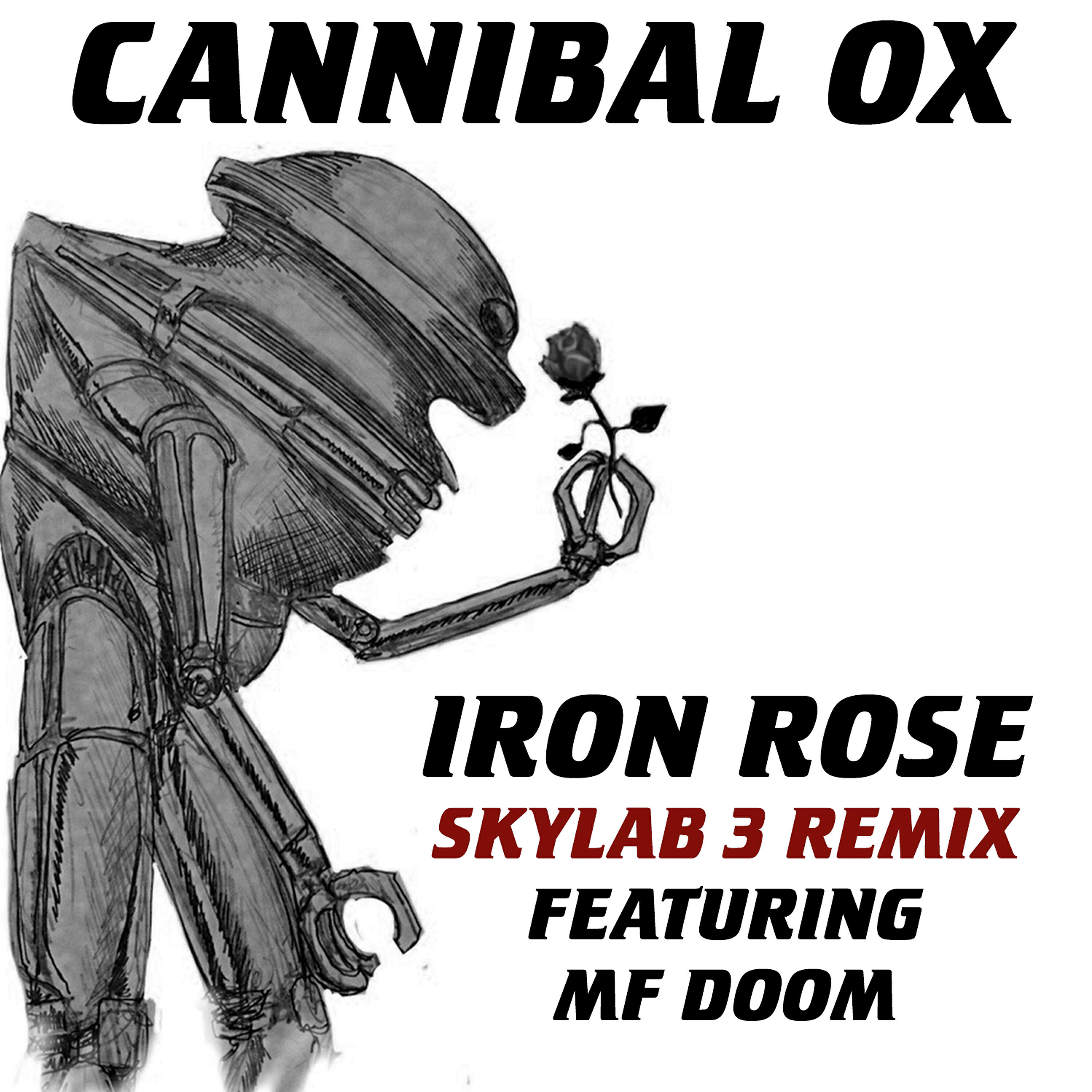 MF DOOM - Iron Rose (Skylab 3 Remix)