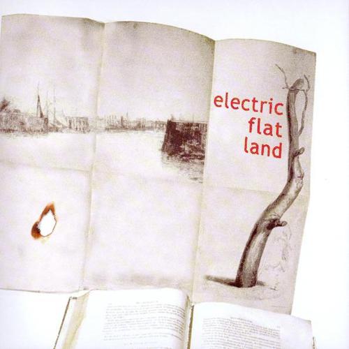 Постер альбома Electric Flat Land