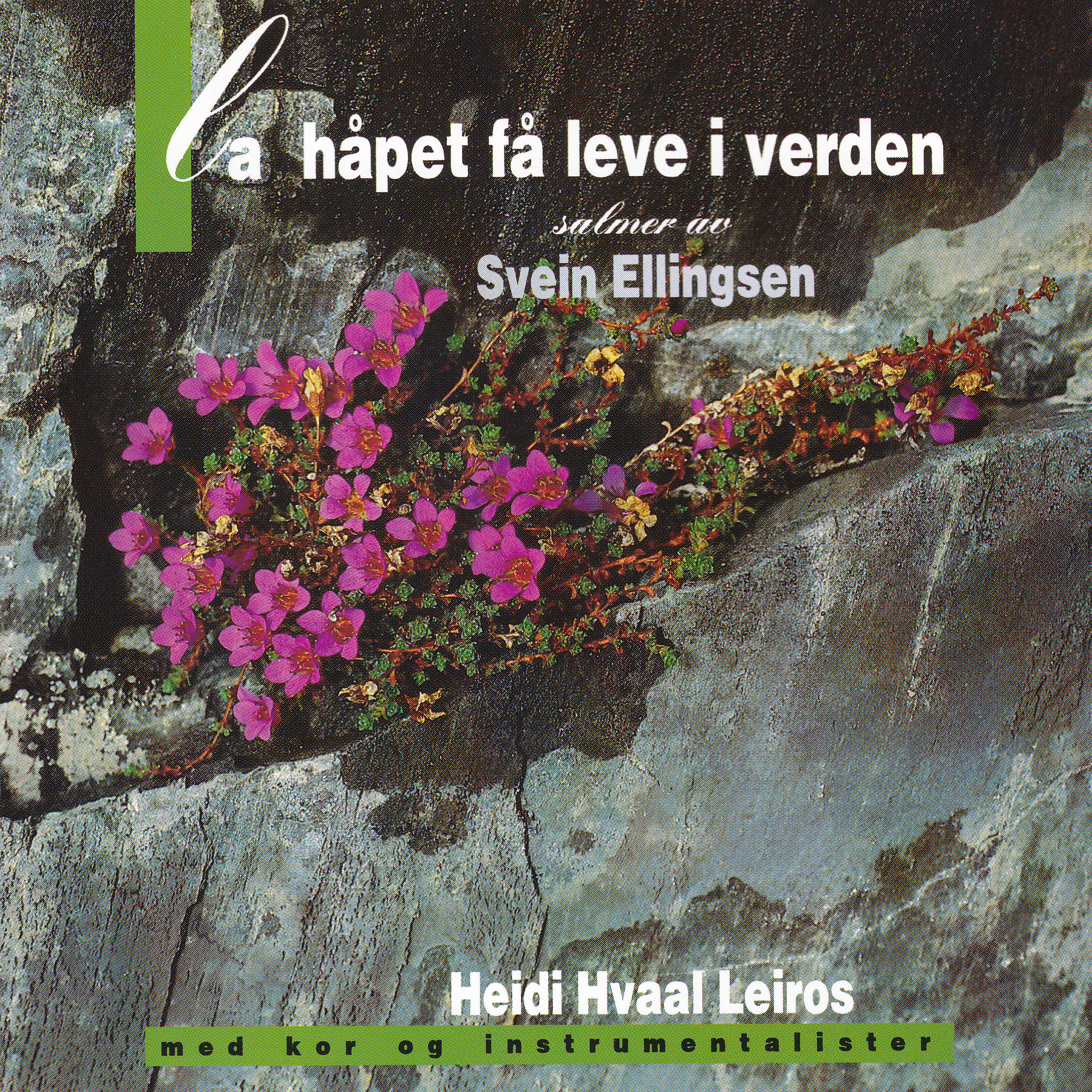 Heidi Hvaal Leiros - Kornet Har Sin Hvile
