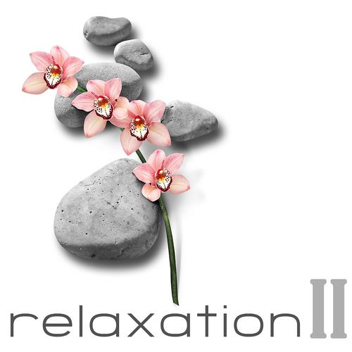 Постер альбома Relaxation II