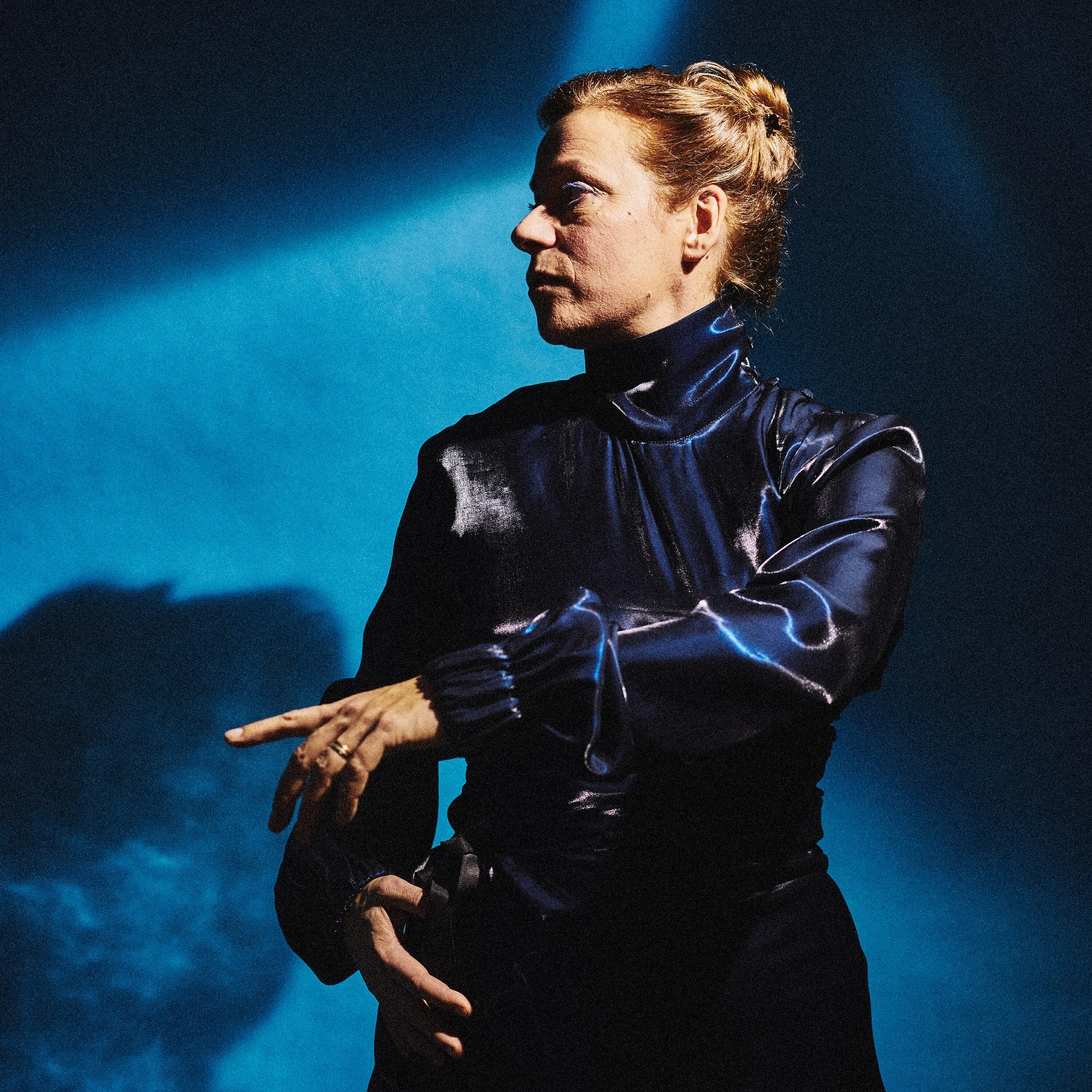 Lina Nyberg - Nightbird
