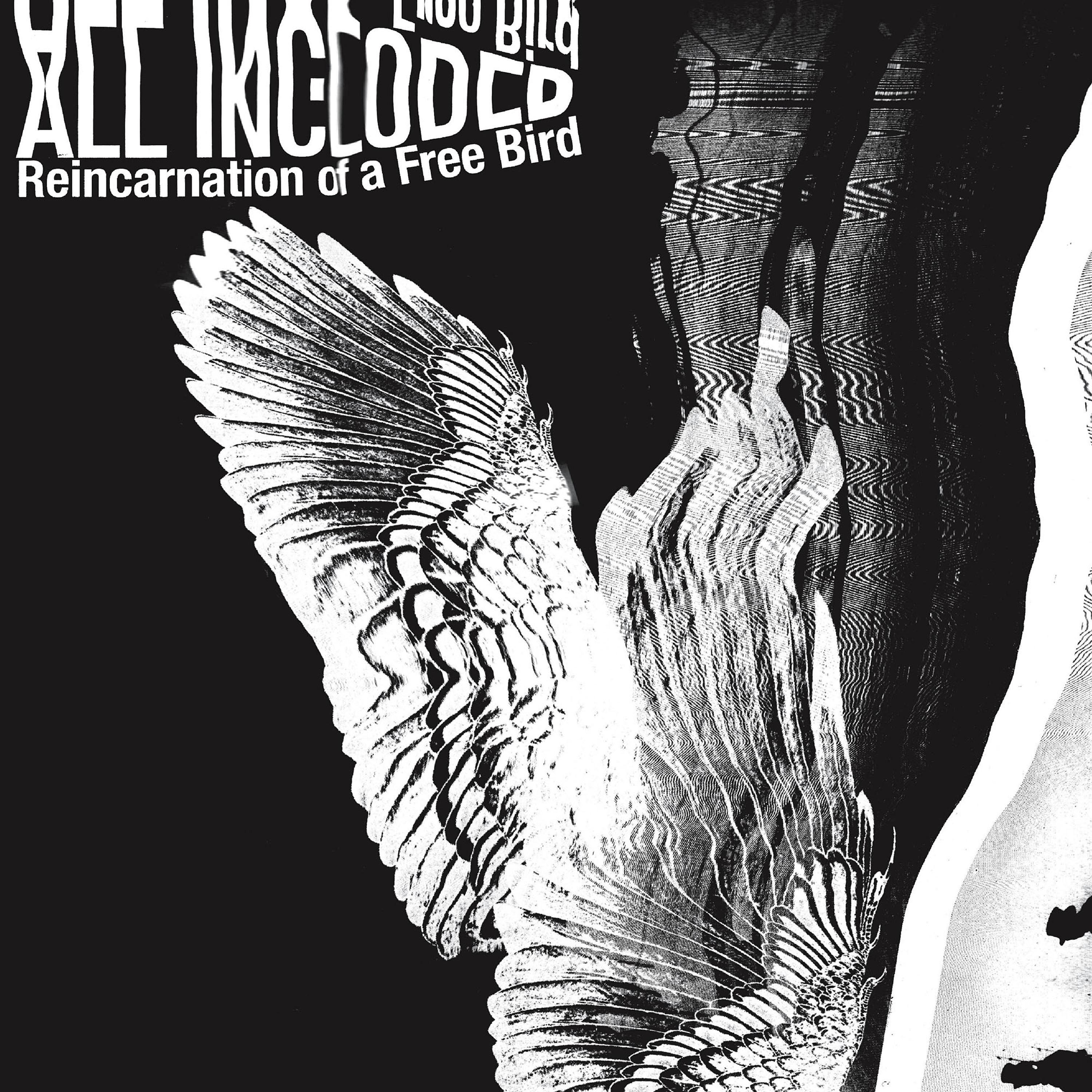 Постер альбома Reincarnation of a Free Bird