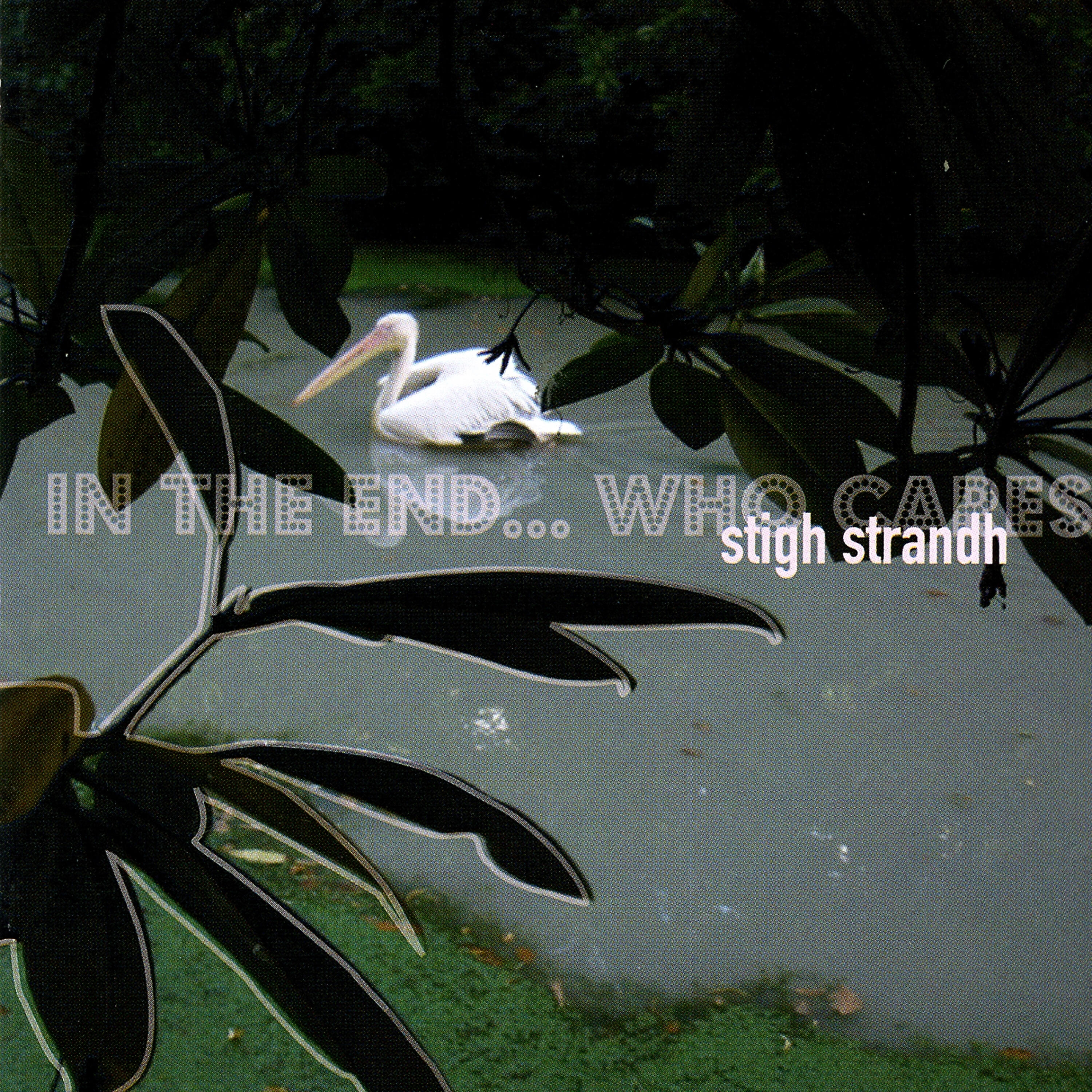Stigh Strandh - No Face Superstar