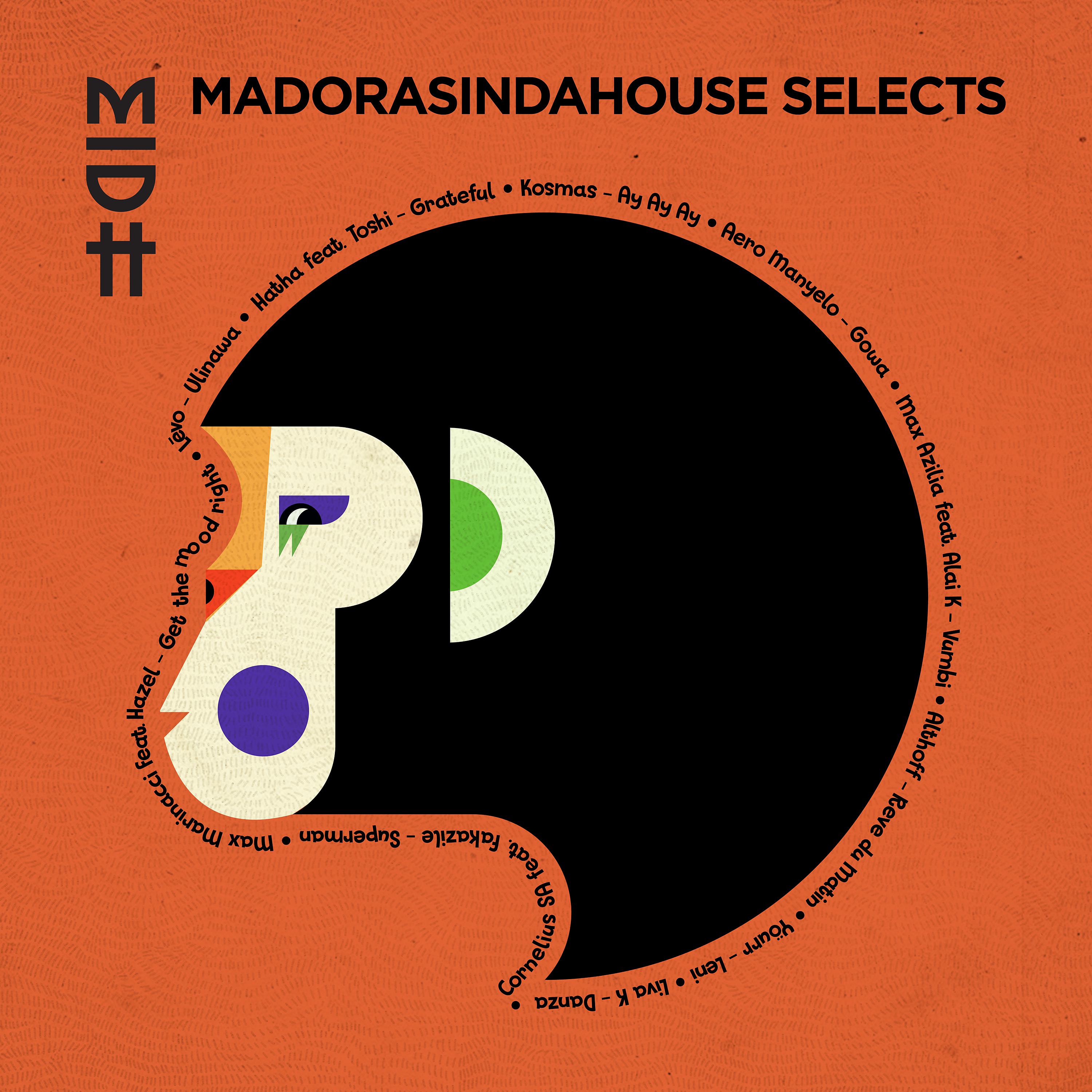 Постер альбома Madorasindahouse Selects