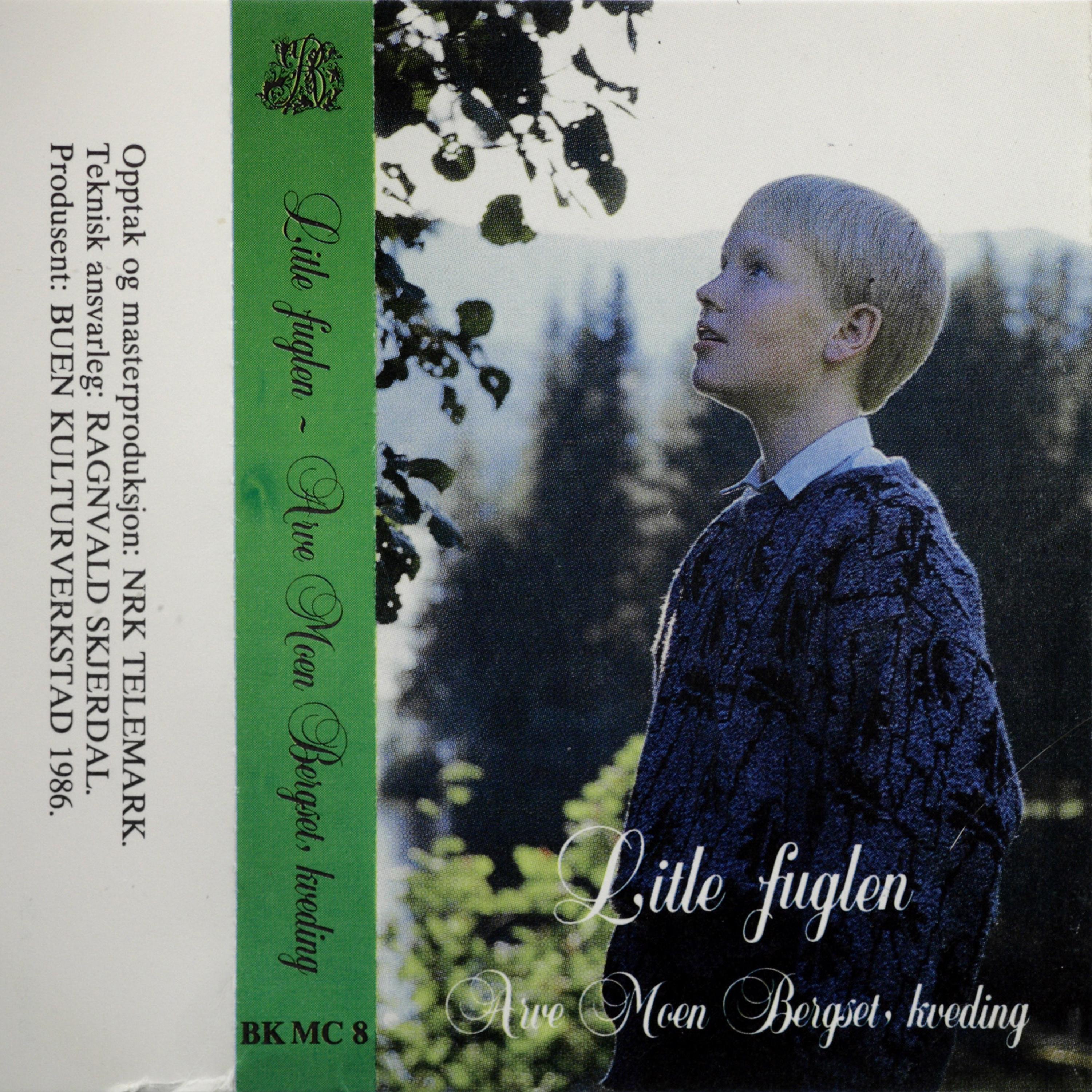 Постер альбома Litle Fuglen - Arve Moen Bergset, Kveding