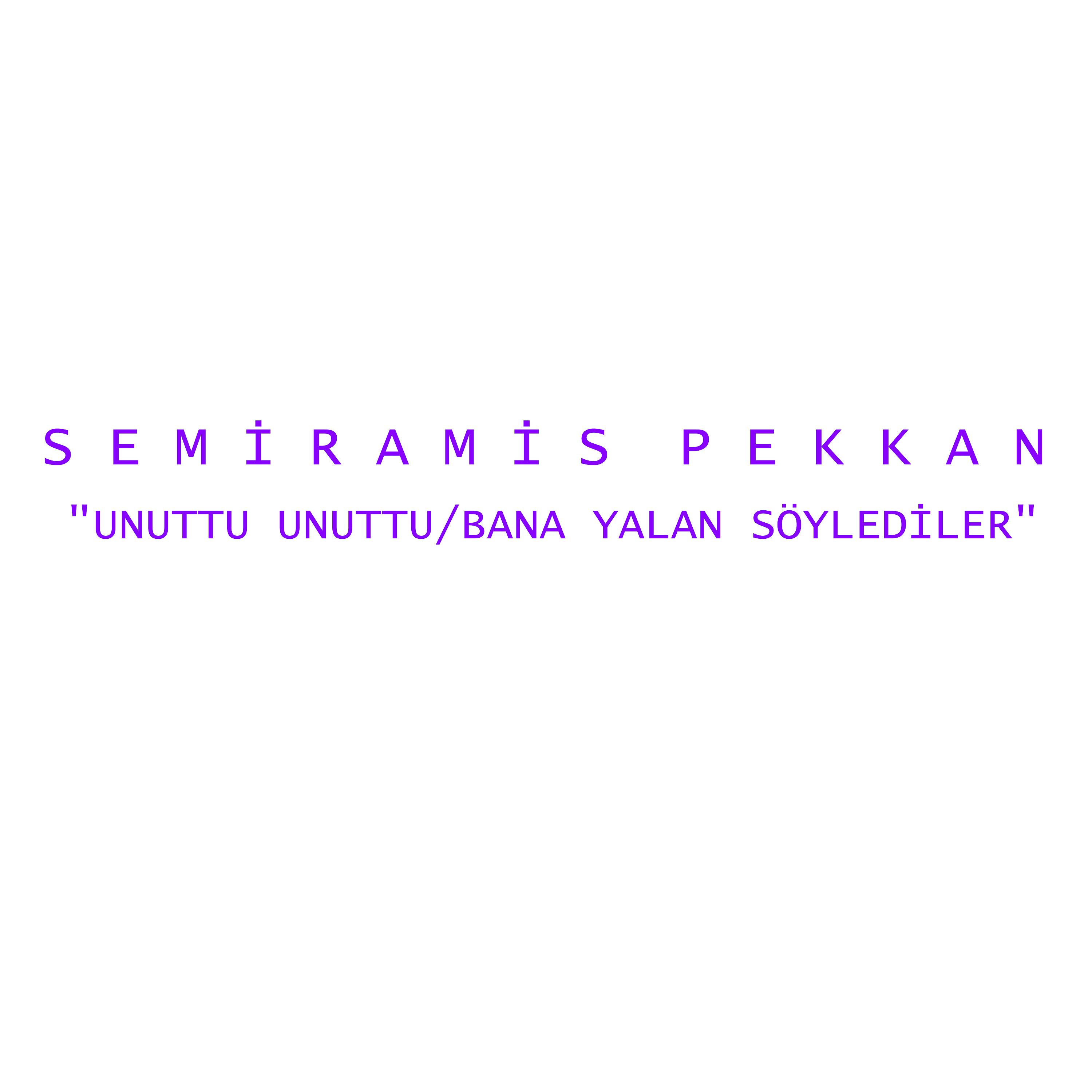 Постер альбома Bana Yalan Söylediler / Unuttu Unuttu