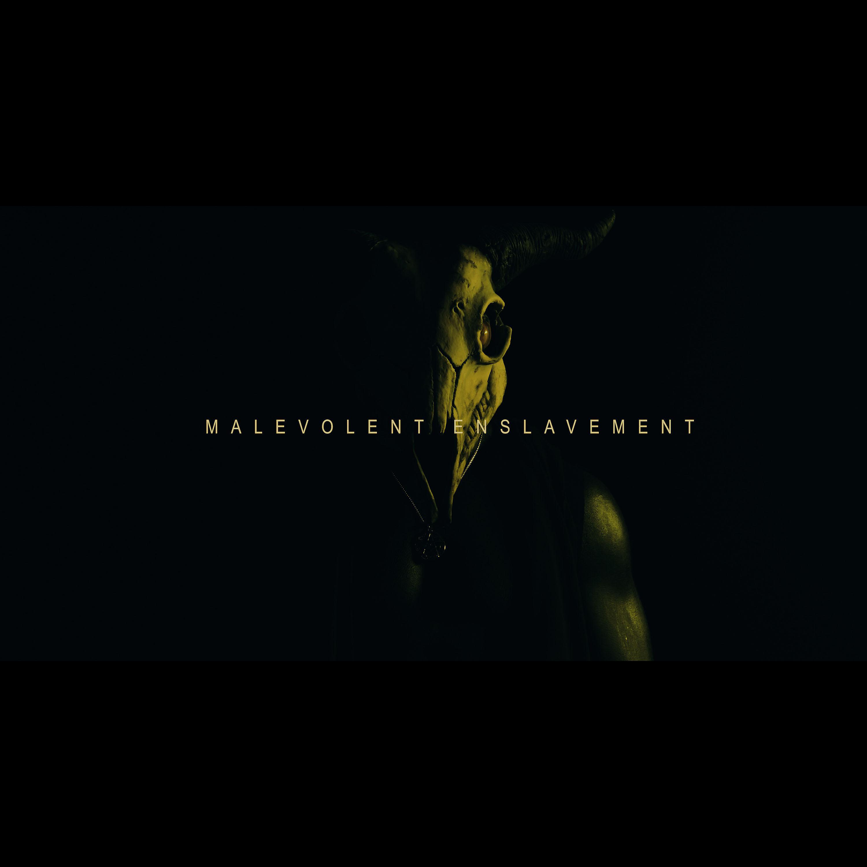 Постер альбома Malevolent Enslavement