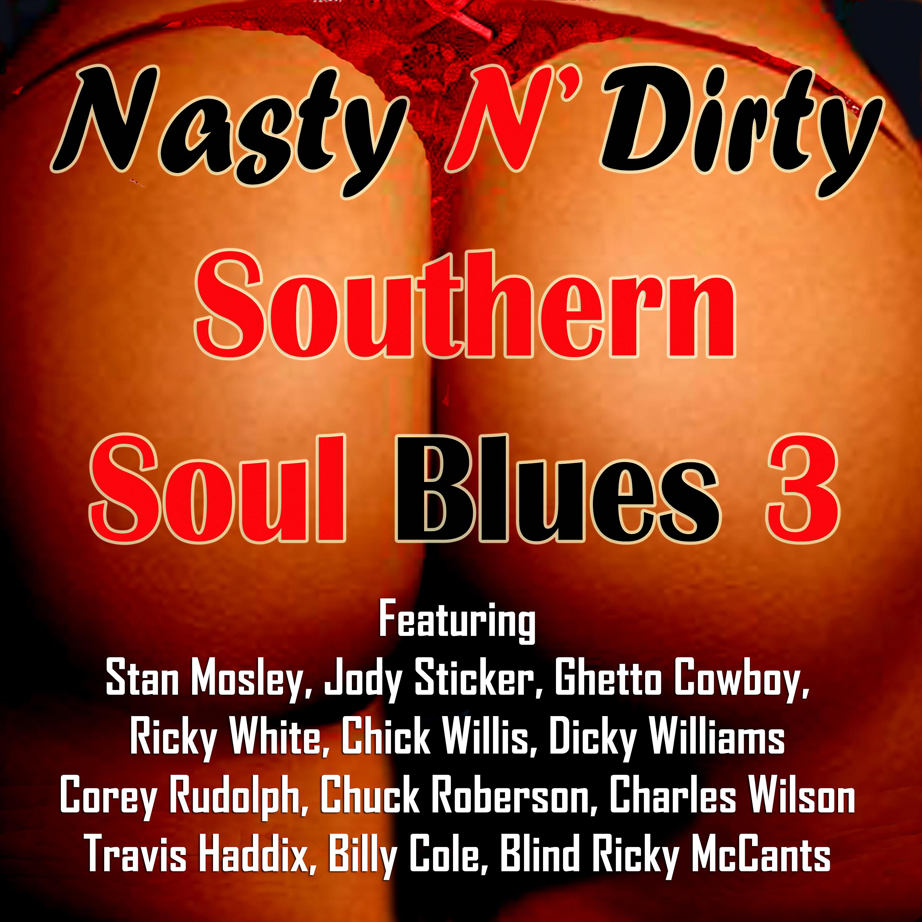 Постер альбома Nasty n' Dirty Southern Soul Blues 3