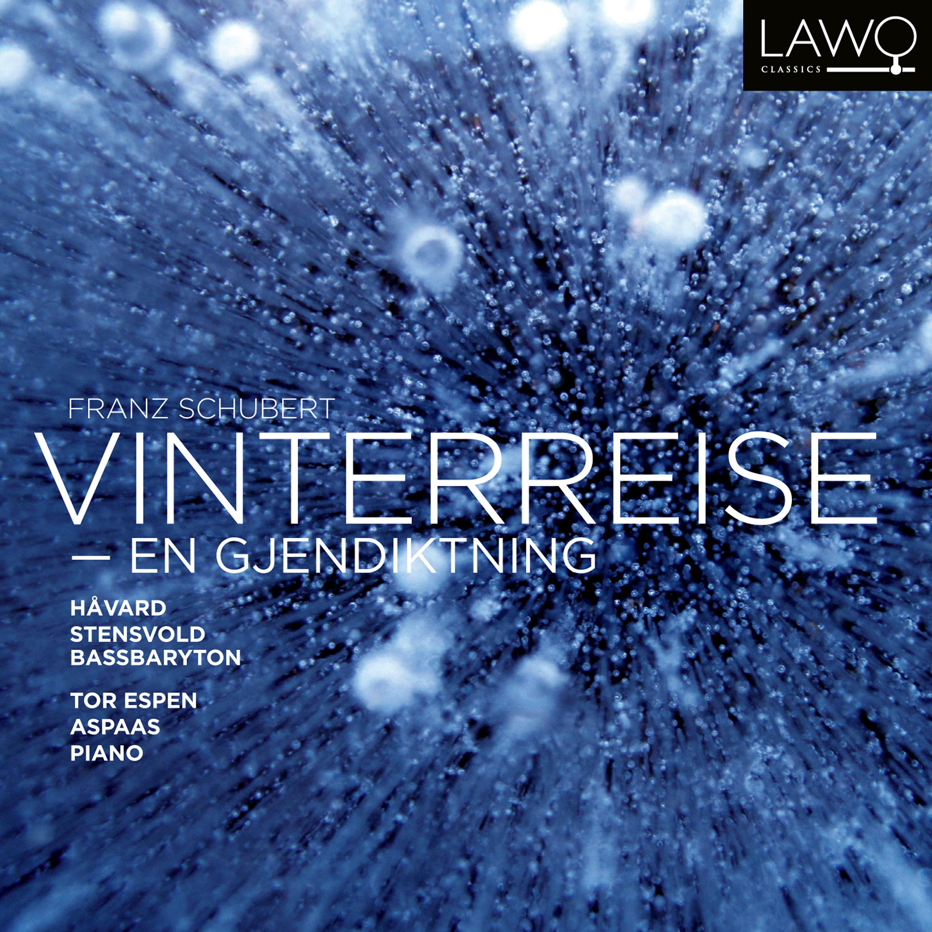 Постер альбома Vinterreise (En Gjendiktning)